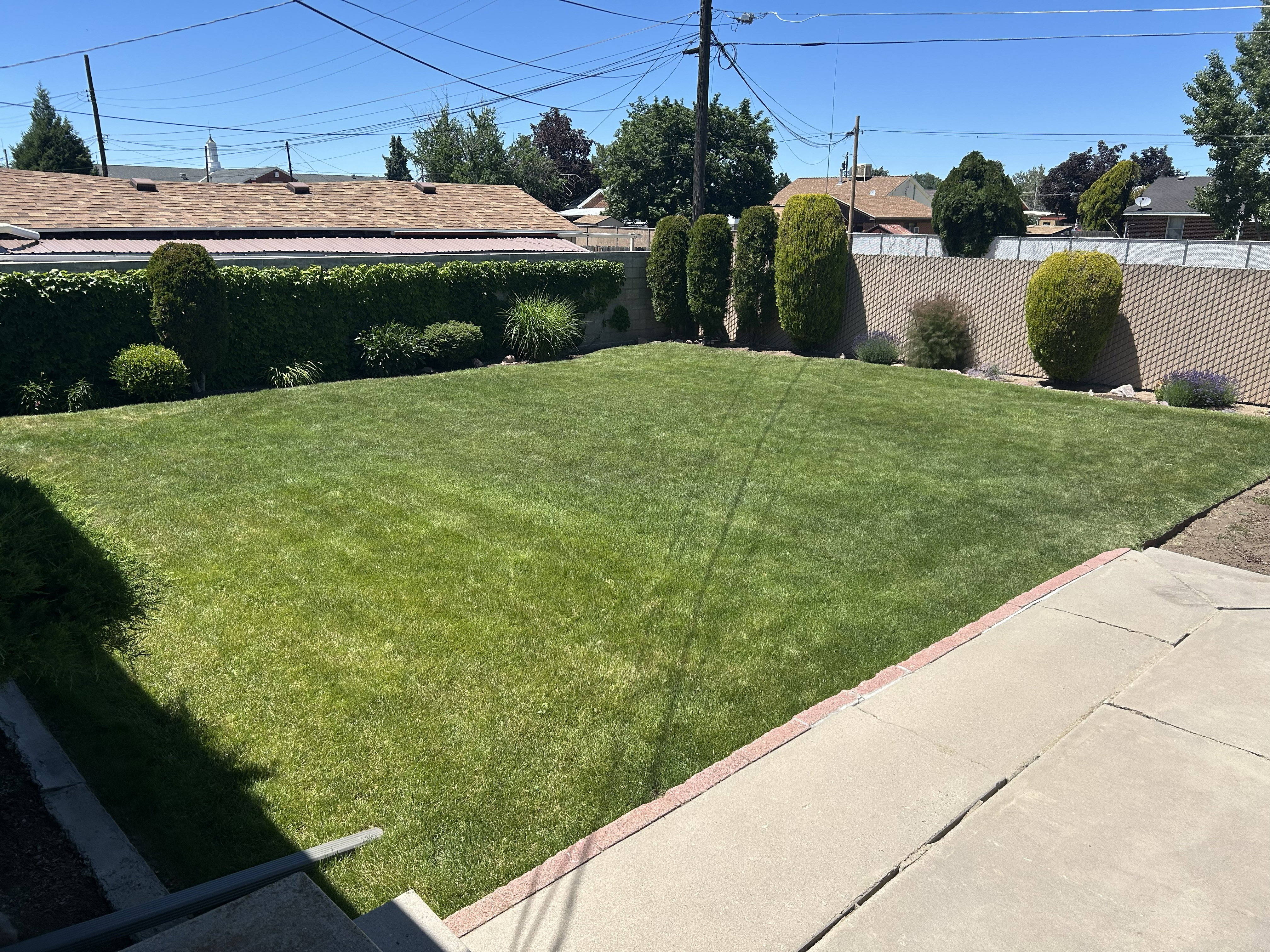 Spacious backyard featuring an expansive lawn area