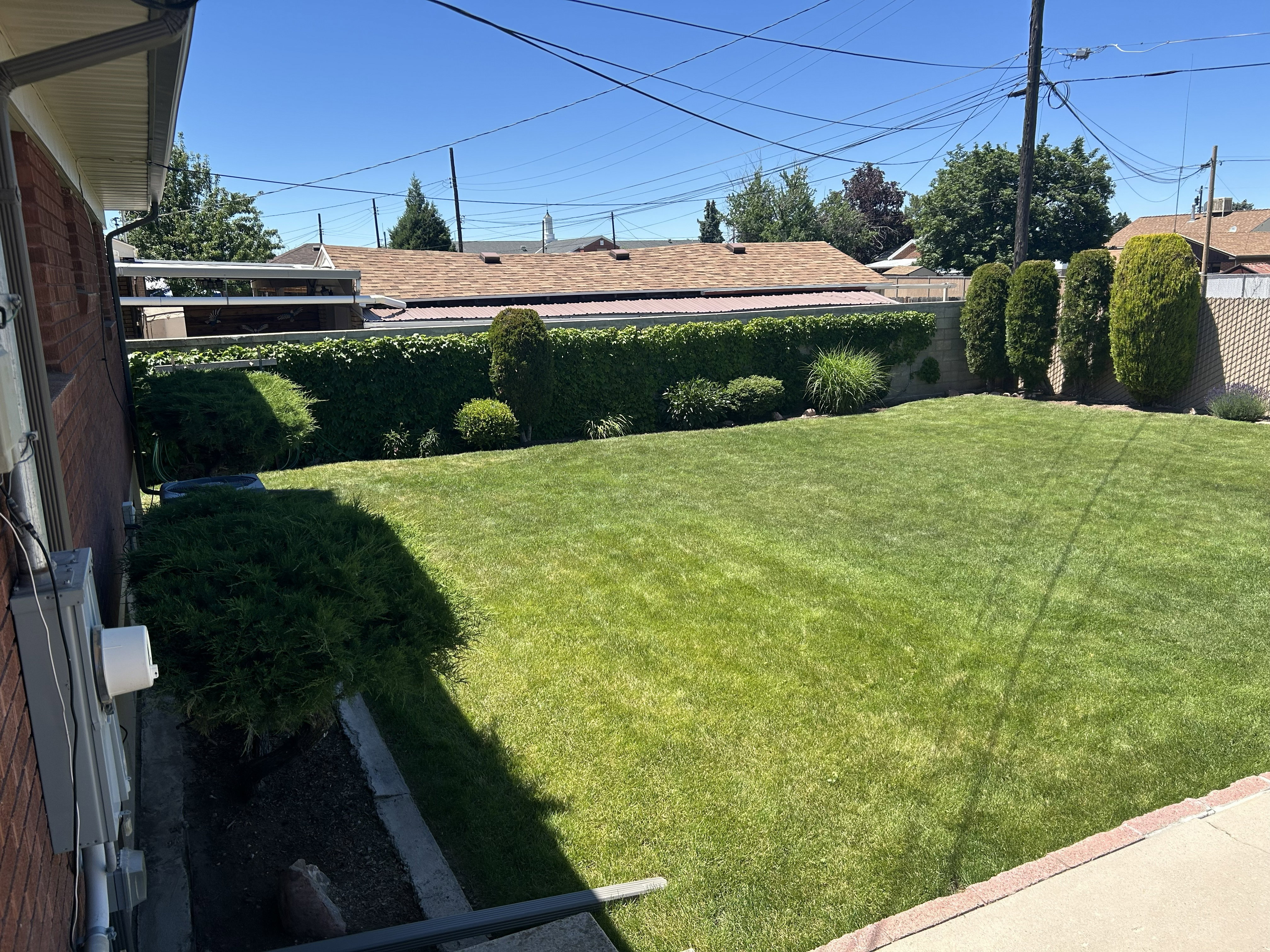 Expansive lawn area featuring mature, manicured perimeter shrubs and trees