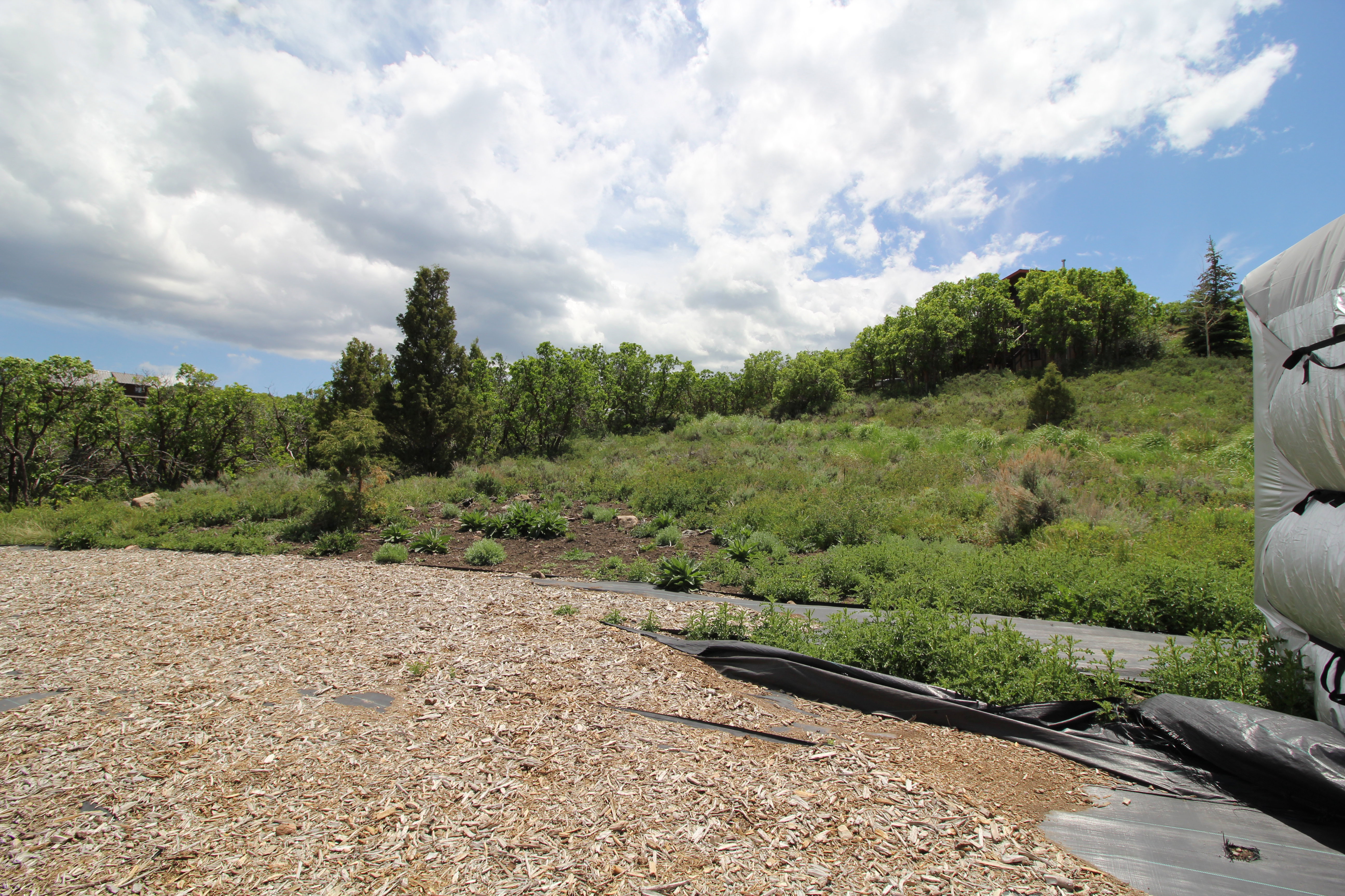 Expansive natural landscape featuring a sloping terrain with varied greenery and mature trees