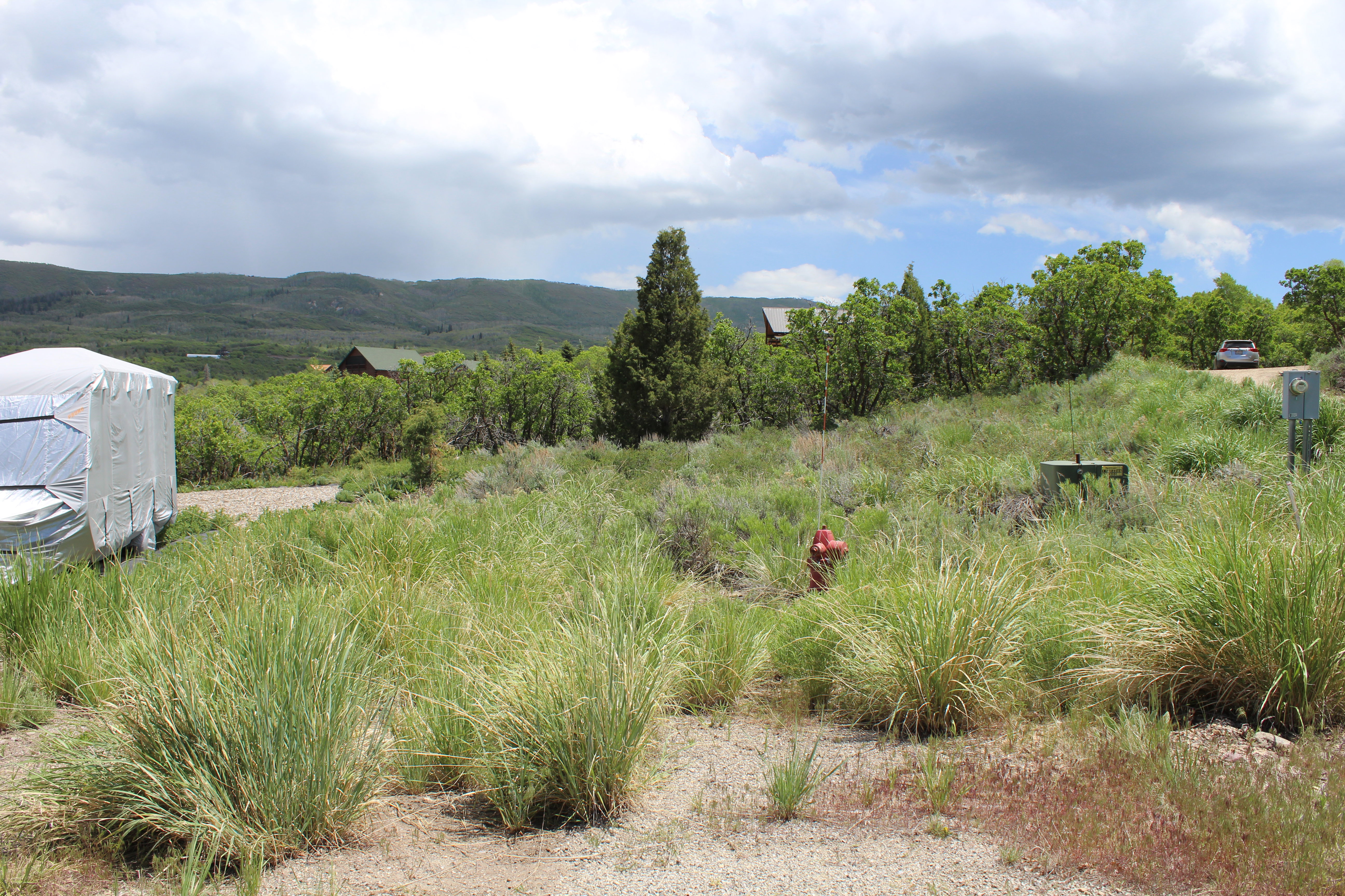 Expansive undeveloped land featuring natural vegetation and distant mountain scenery