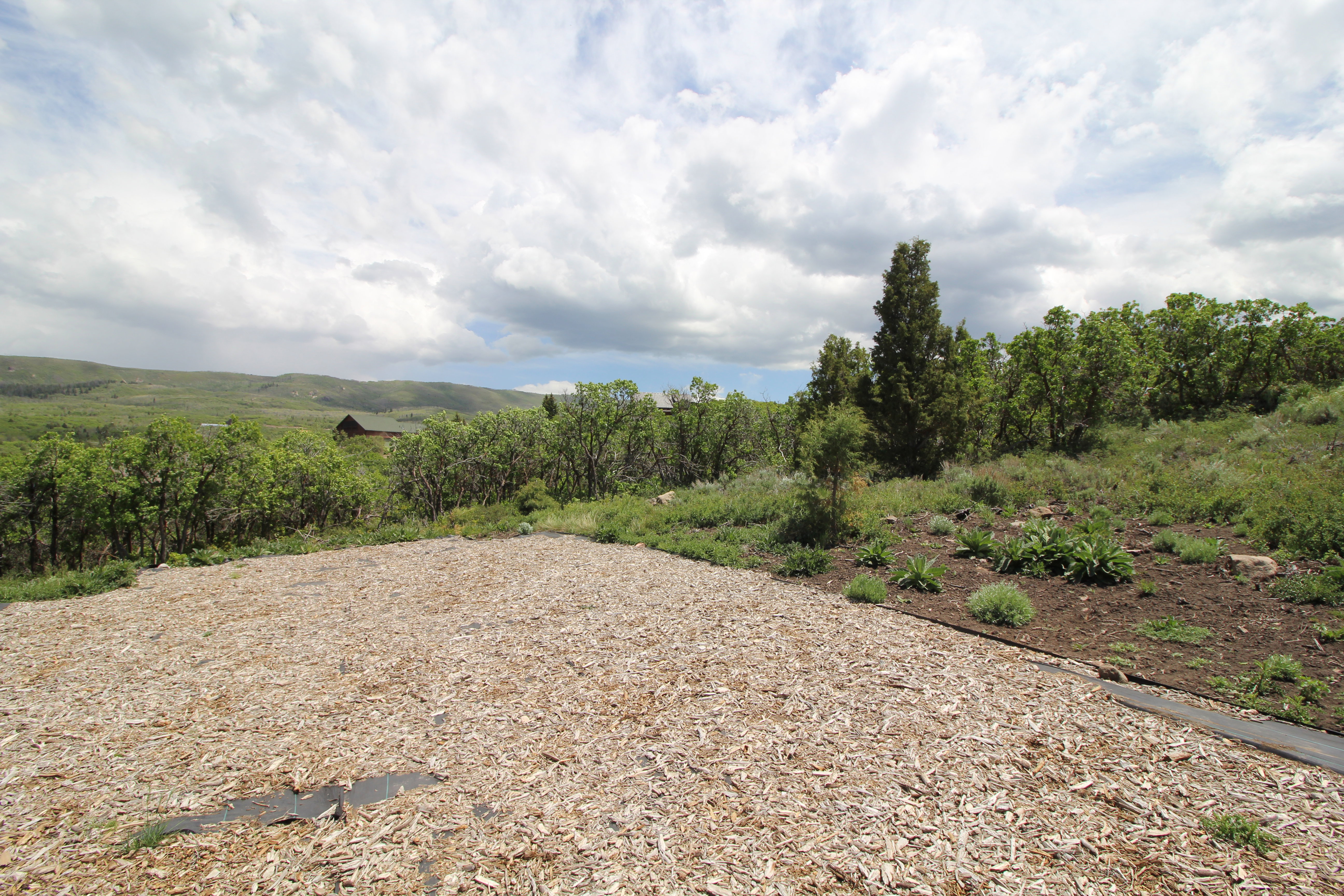 Expansive outdoor area featuring a wood chip ground cover, natural landscaping, mature trees, and distant rolling hills