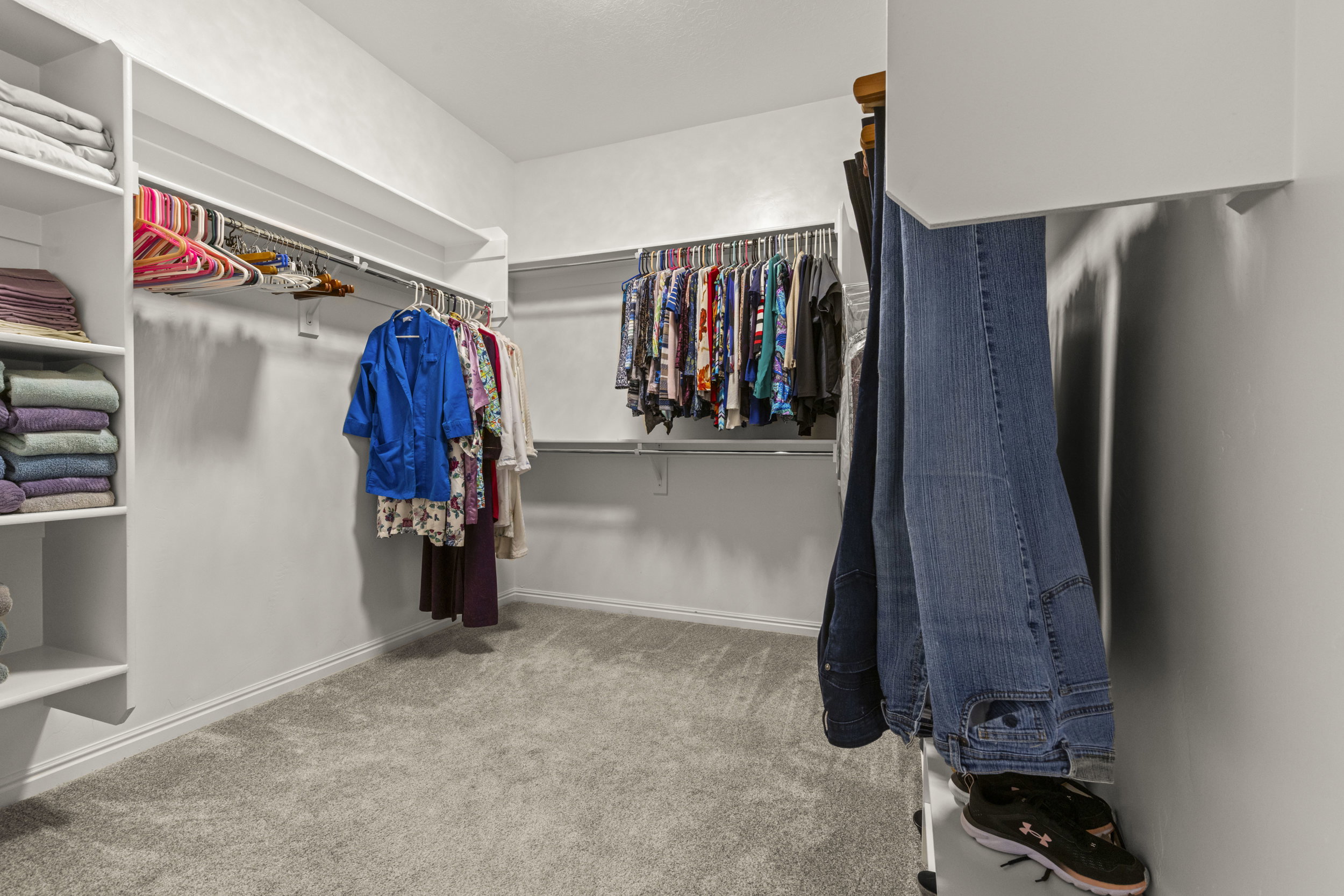 Spacious walk-in closet featuring light gray carpeting, white walls, and extensive built-in shelving