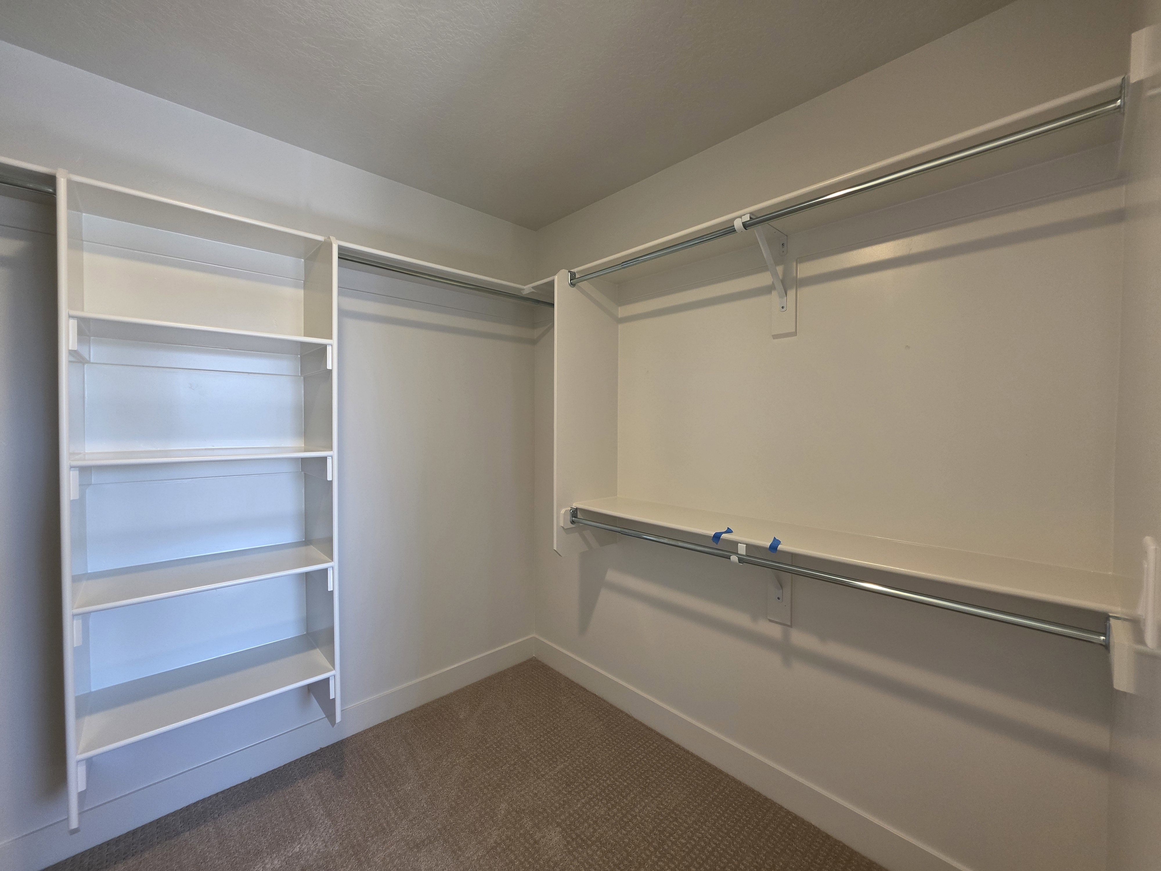 Walk-in closet featuring built-in white shelving, multiple hanging rods, and neutral-toned carpeting
