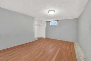 Interior room featuring wood-finish flooring, light gray wall paint, and a built-in closet with shelving and hanging rods