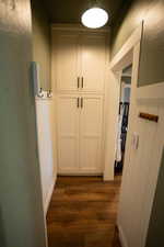 Built-in cabinetry with shaker-style doors, matte black hardware, and overhead lighting