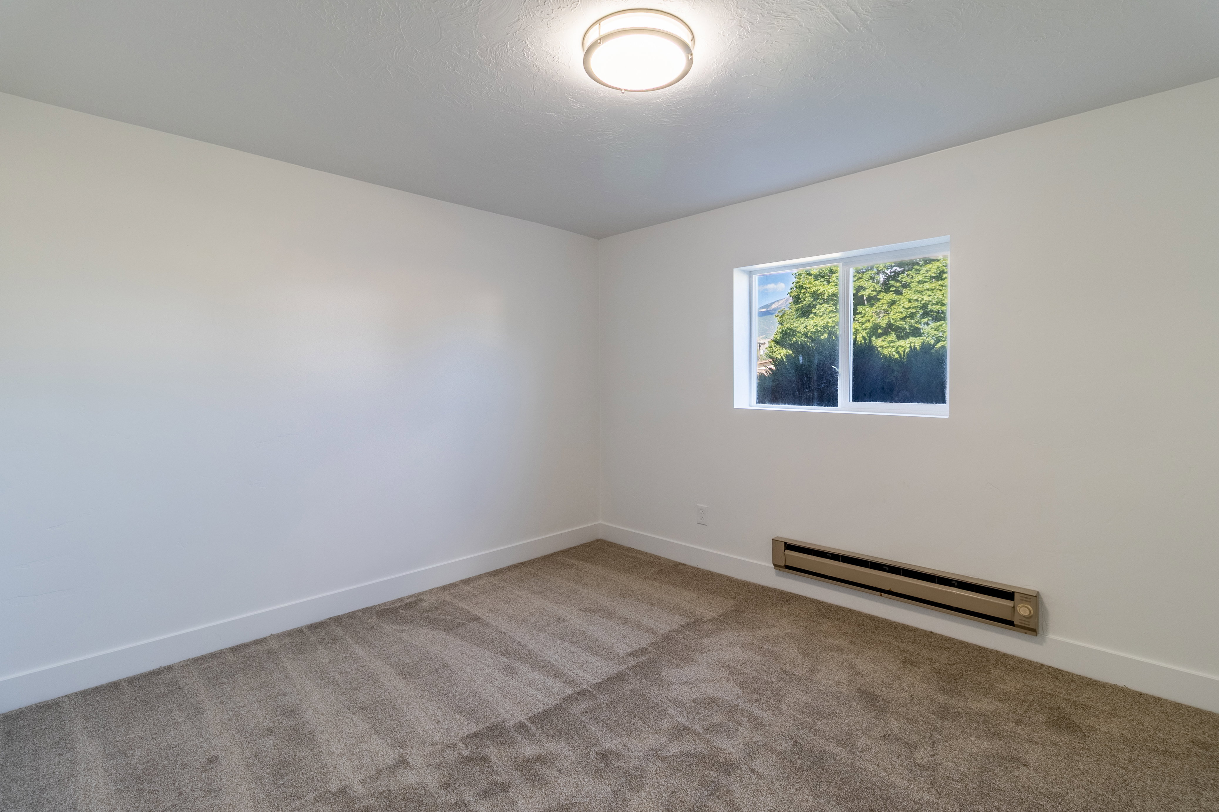 Carpeted room with a rectangular window, white walls, and white trim