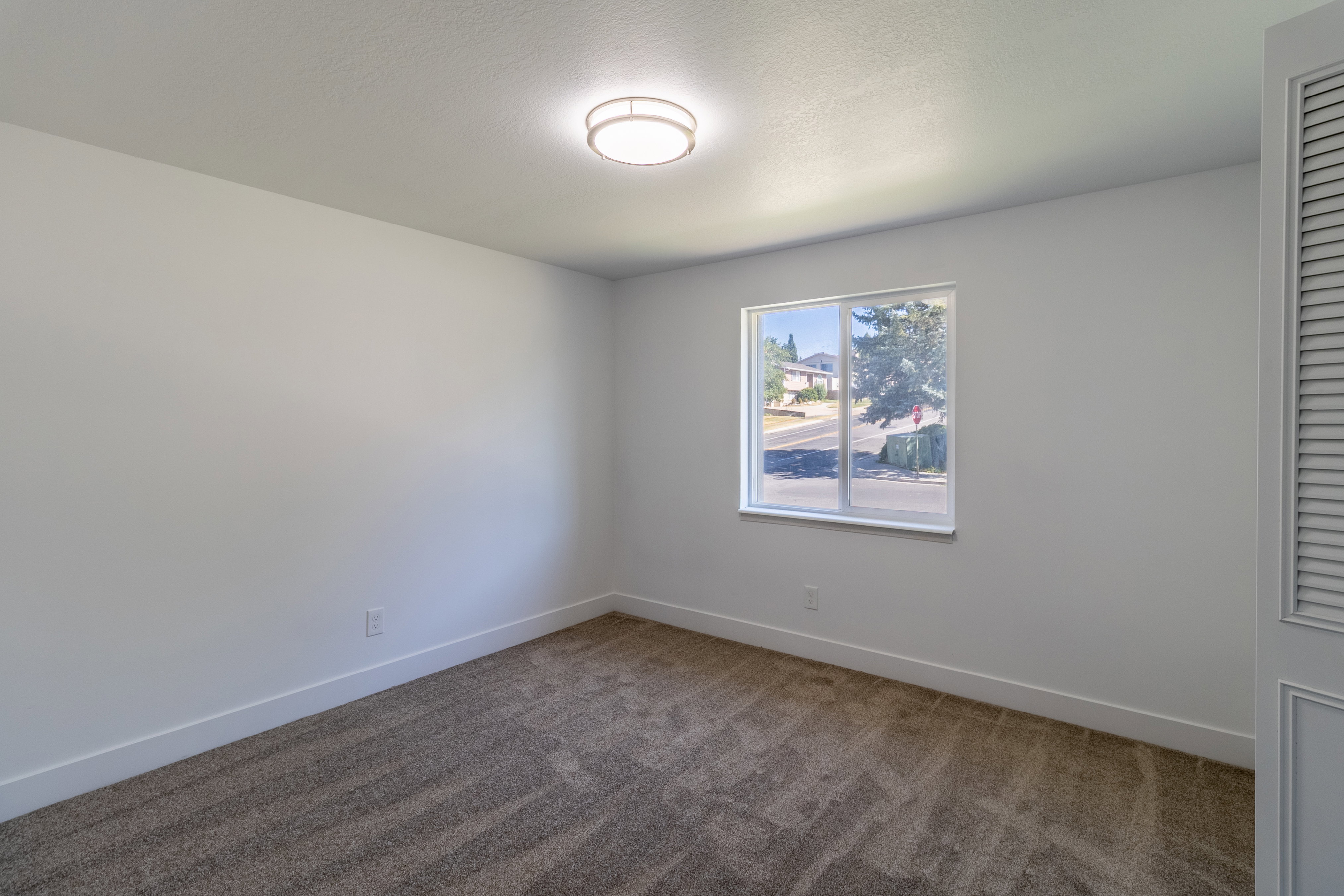 Neutral wall tones complemented by plush carpet flooring