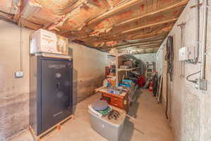 Storage room and walk-out basement