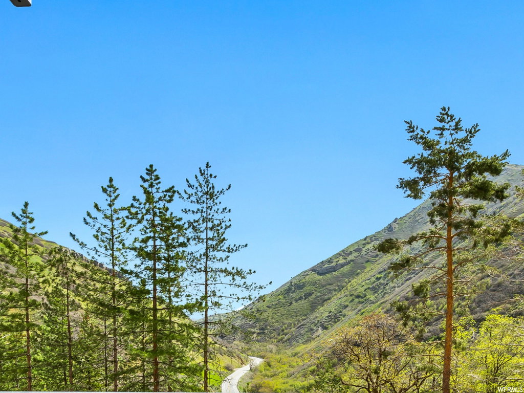 THIS is the view of Emigration Canyon from the living room and bedroom.