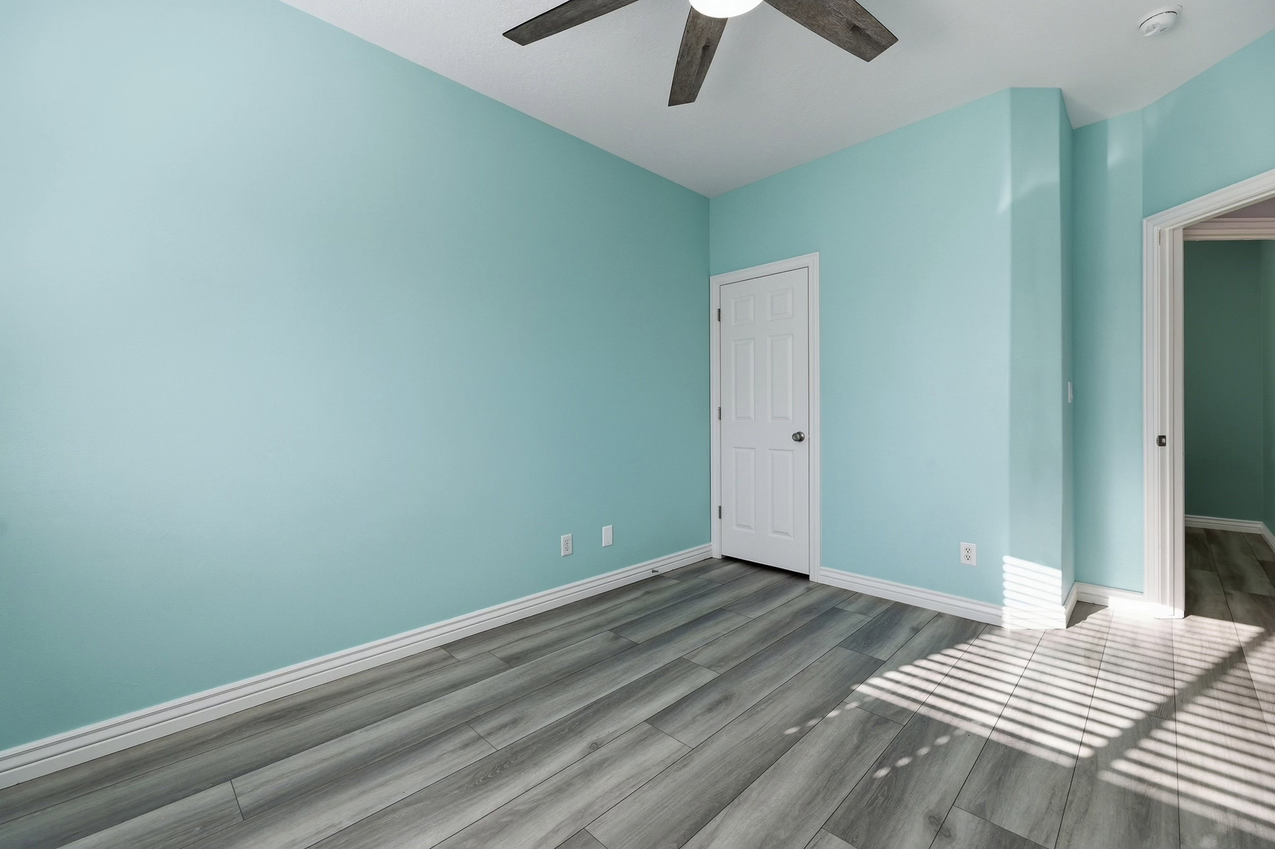 Room featuring wood-finish flooring, a ceiling fan, and a white paneled door