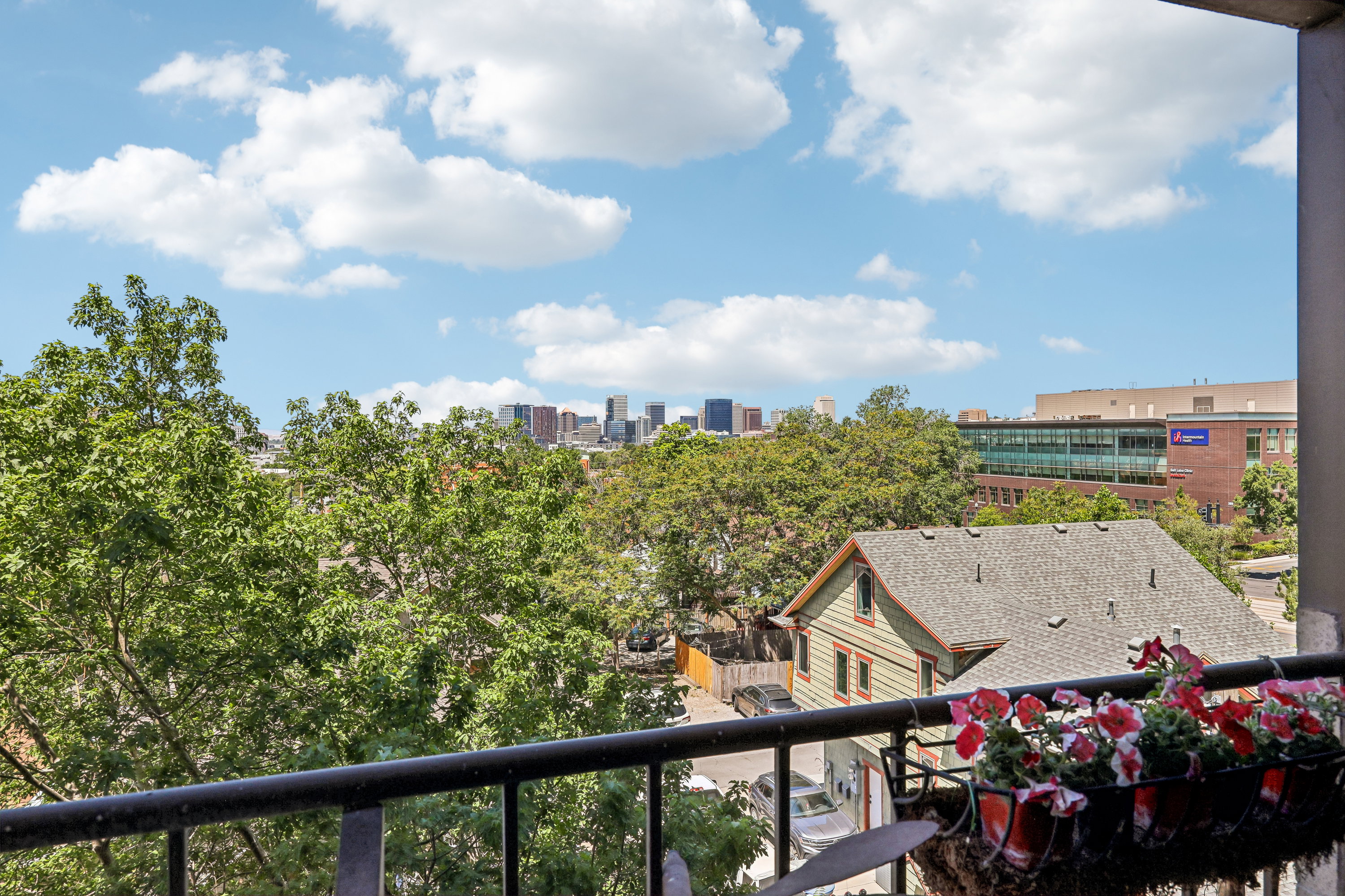 Skyline scenery featuring distant buildings and abundant mature trees