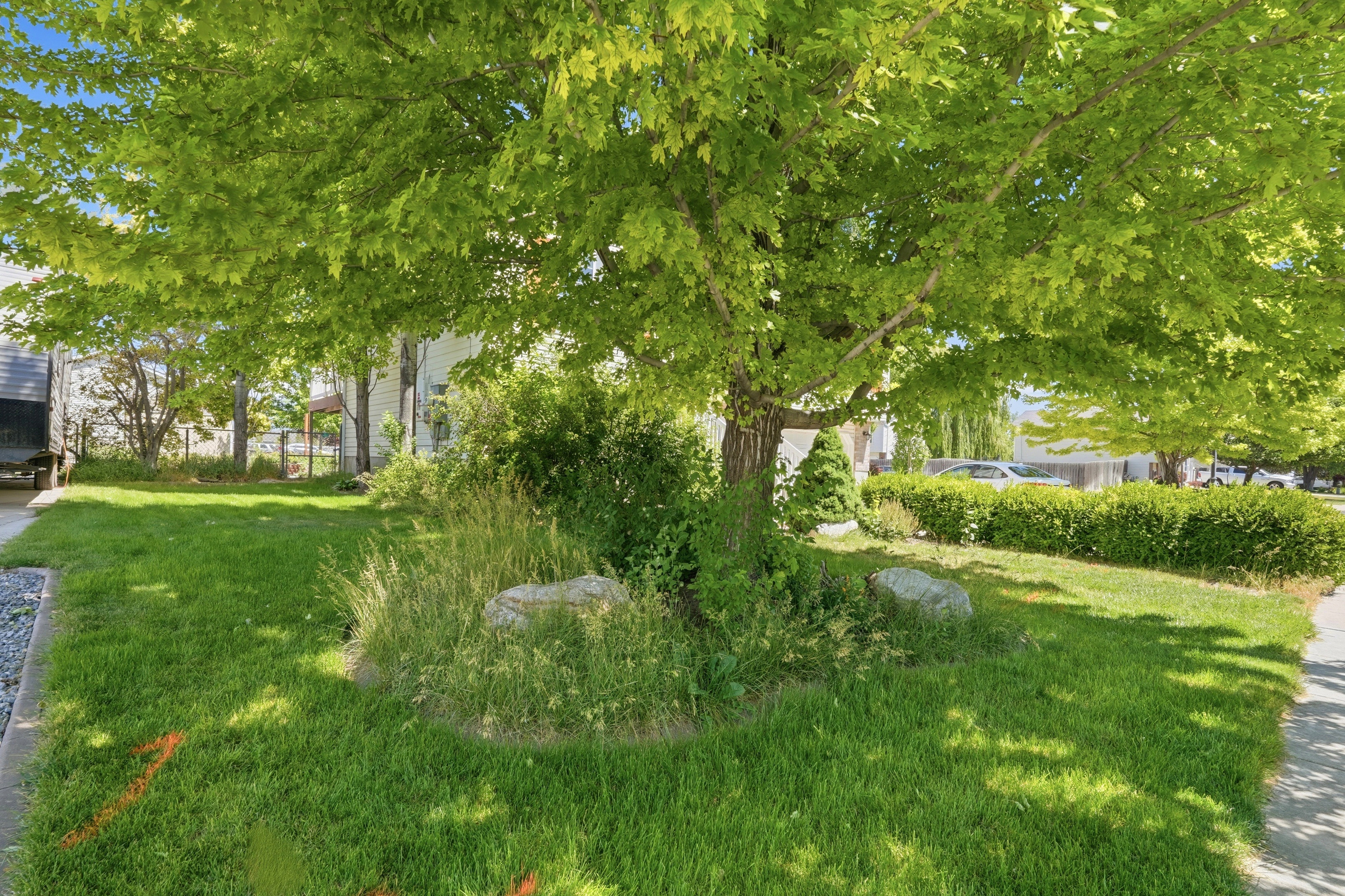 Mature tree canopy providing shade over a lush lawn