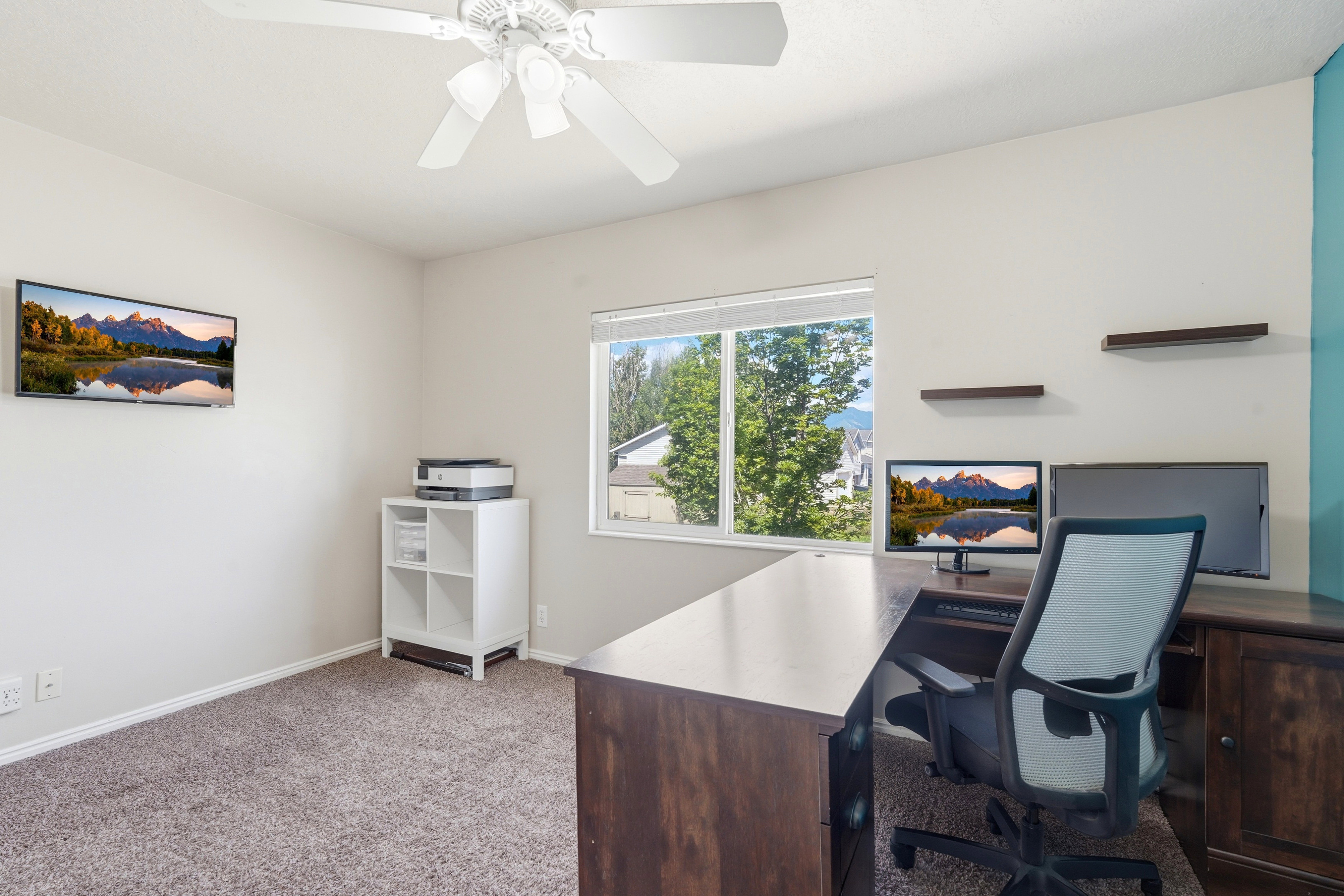 Carpeted room featuring a white ceiling fan, a large window, and light-toned walls