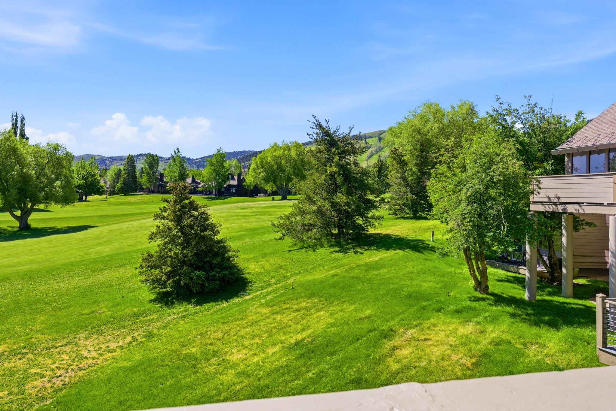 Expansive green lawn with mature trees and distant mountain terrain