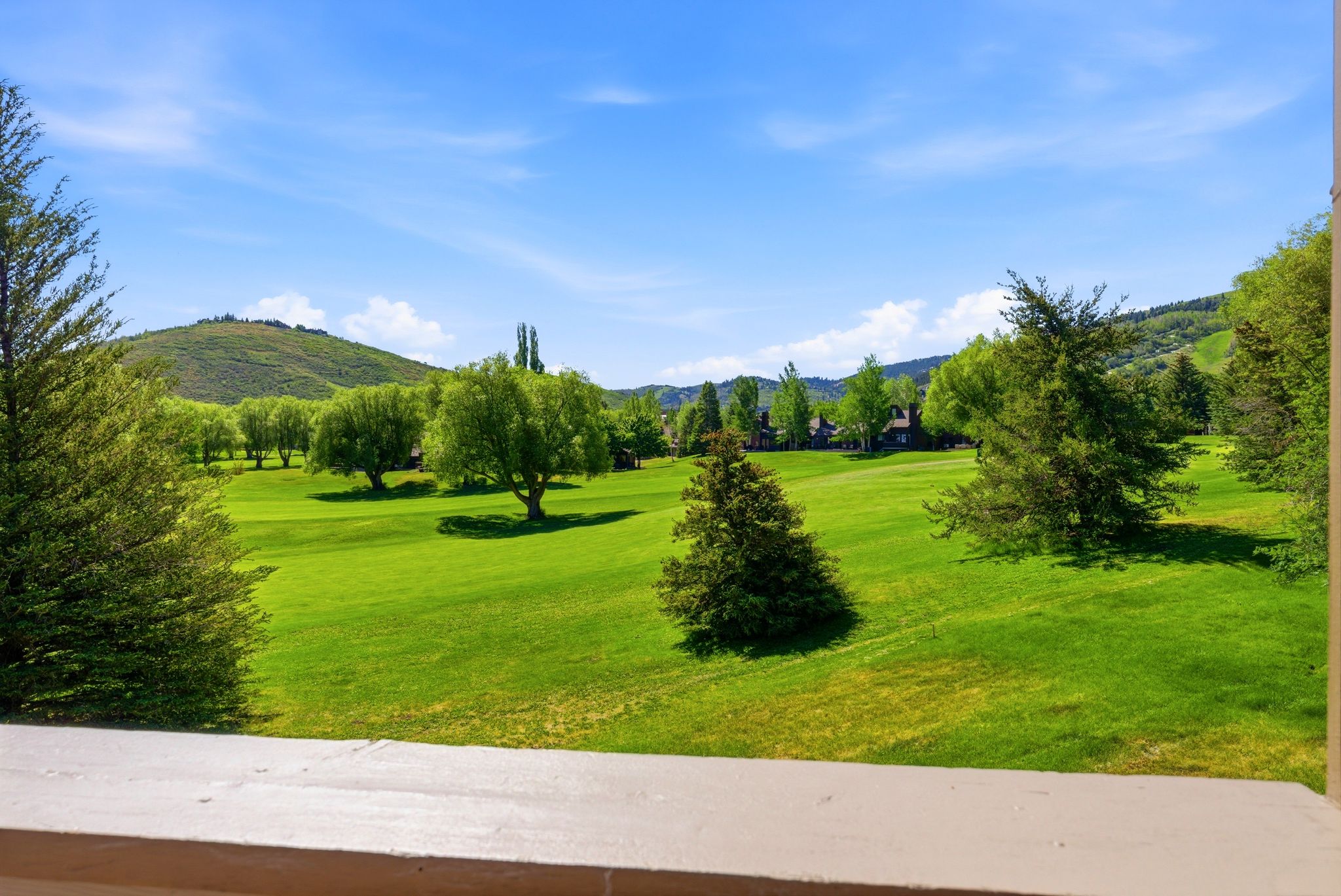 Expansive green landscape featuring numerous mature trees and distant hills