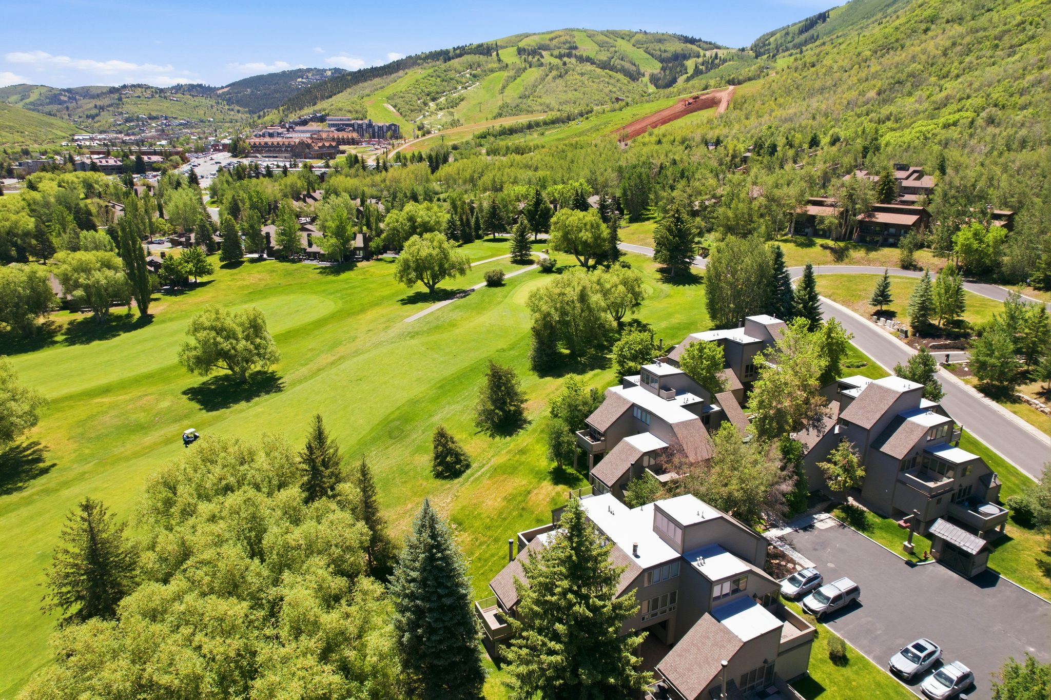 Terraced multi-level residences amidst lush green landscapes and mature trees