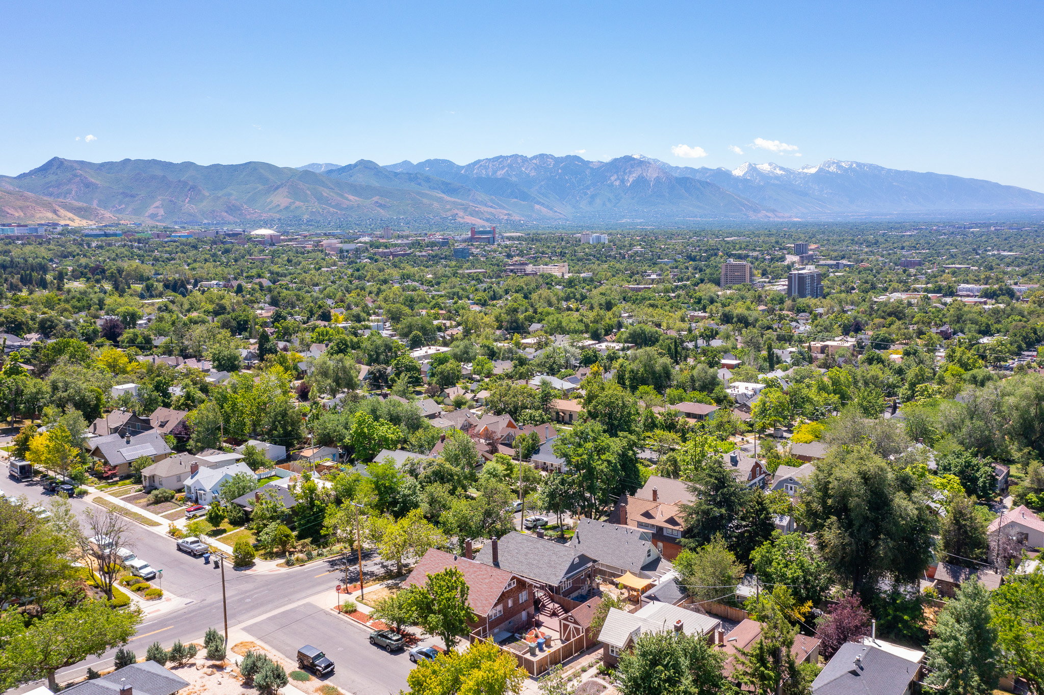 Expansive urban landscape featuring a dense tree canopy, a mix of residential and commercial structures, and distant snow-capped mountains