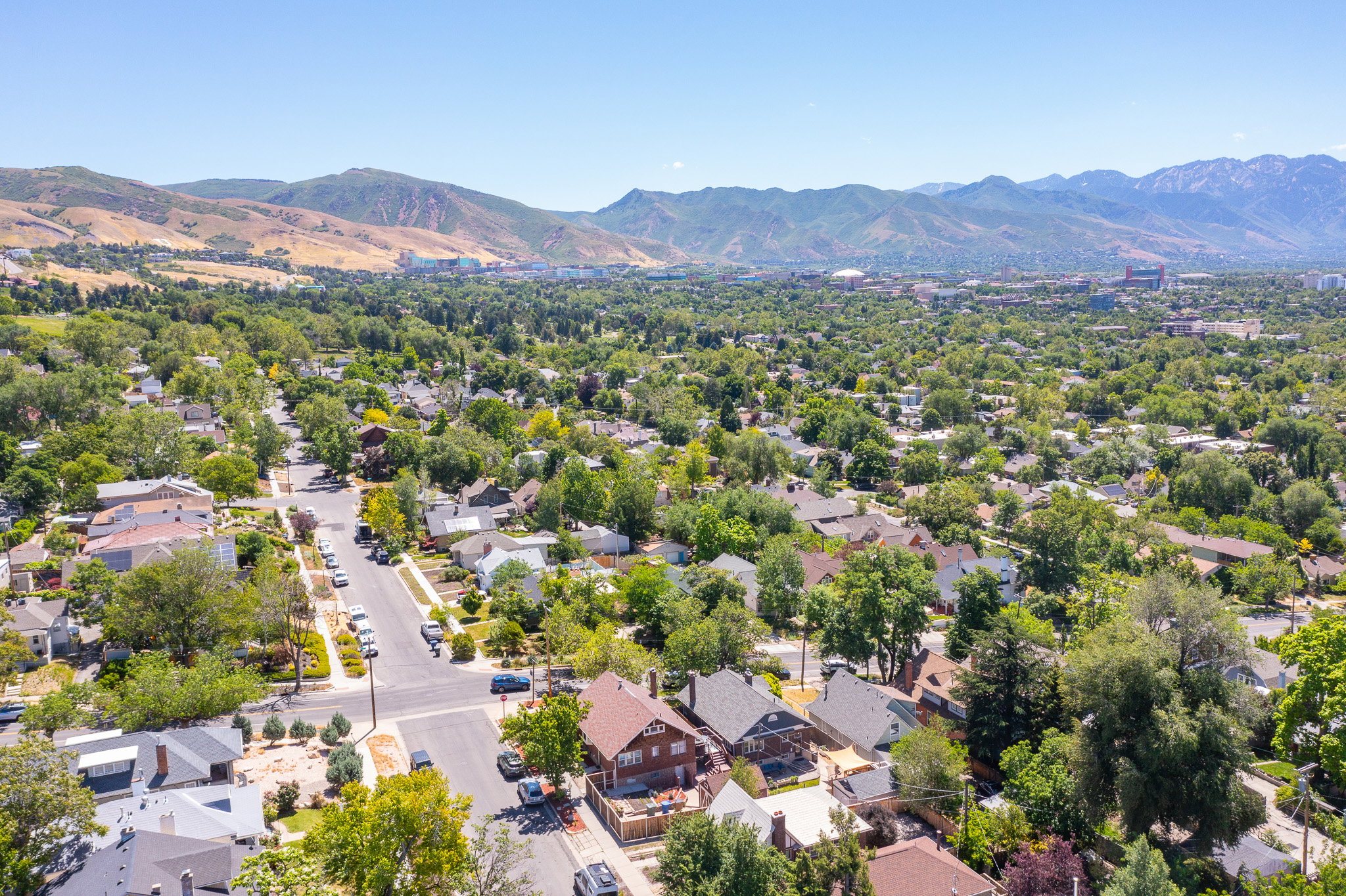 Expansive aerial perspective showcasing a residential neighborhood with mature trees