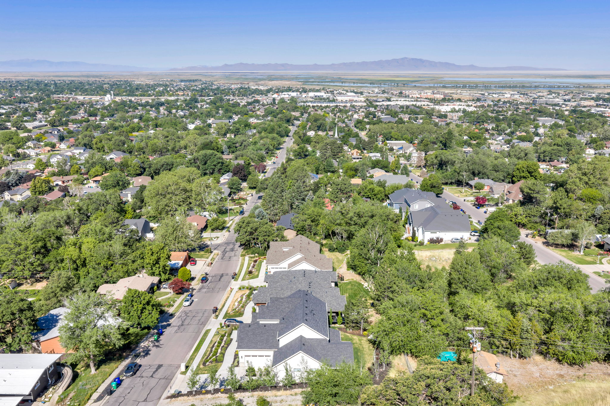 Residential neighborhood with mature tree canopy, featuring a paved street and distant mountains