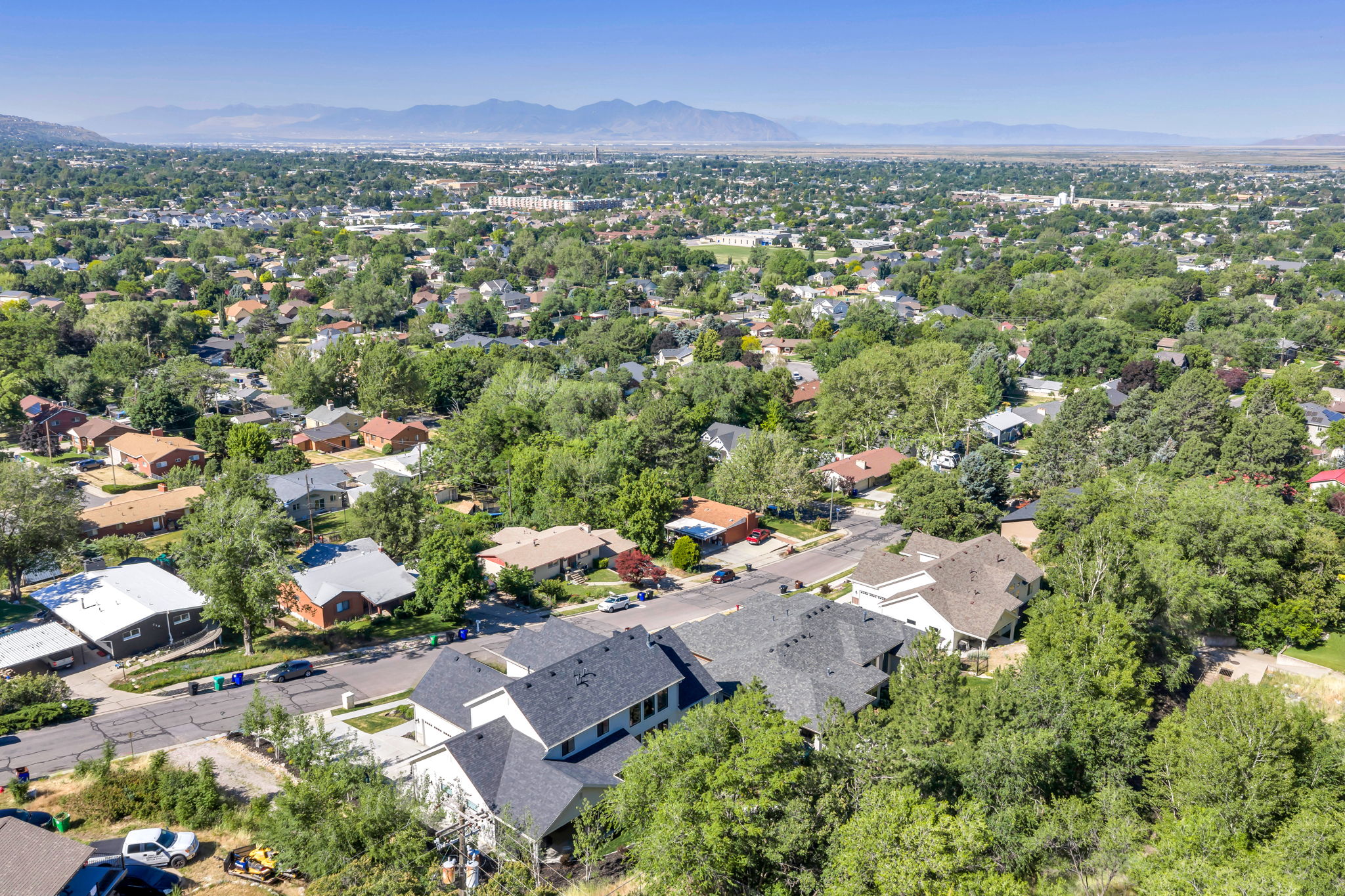 Expansive aerial perspective showcasing a residential area with lush tree coverage and varied architectural styles
