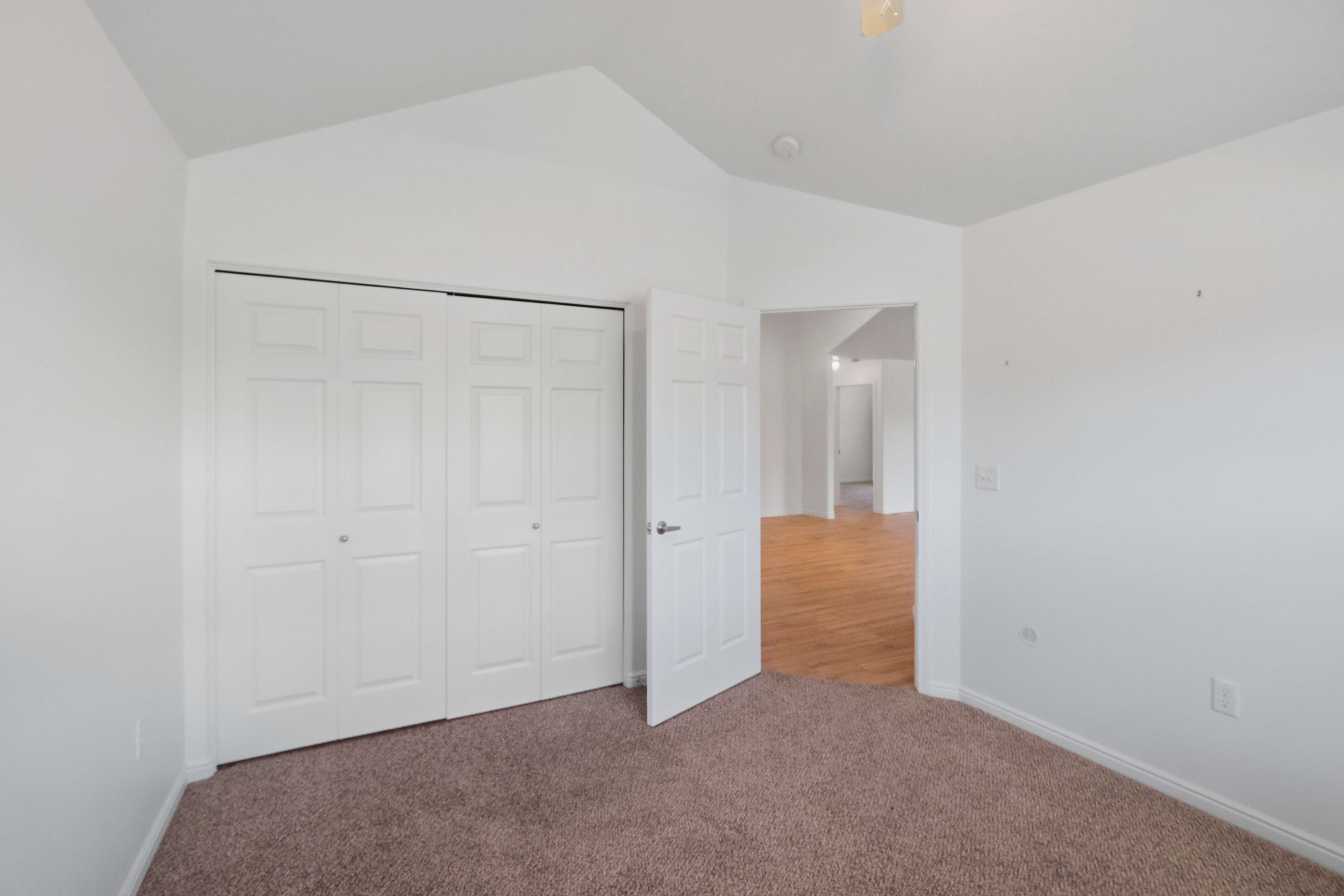 Spacious room featuring vaulted ceilings, plush carpeting, bi-fold closet doors, and a doorway opening to wood-finish flooring