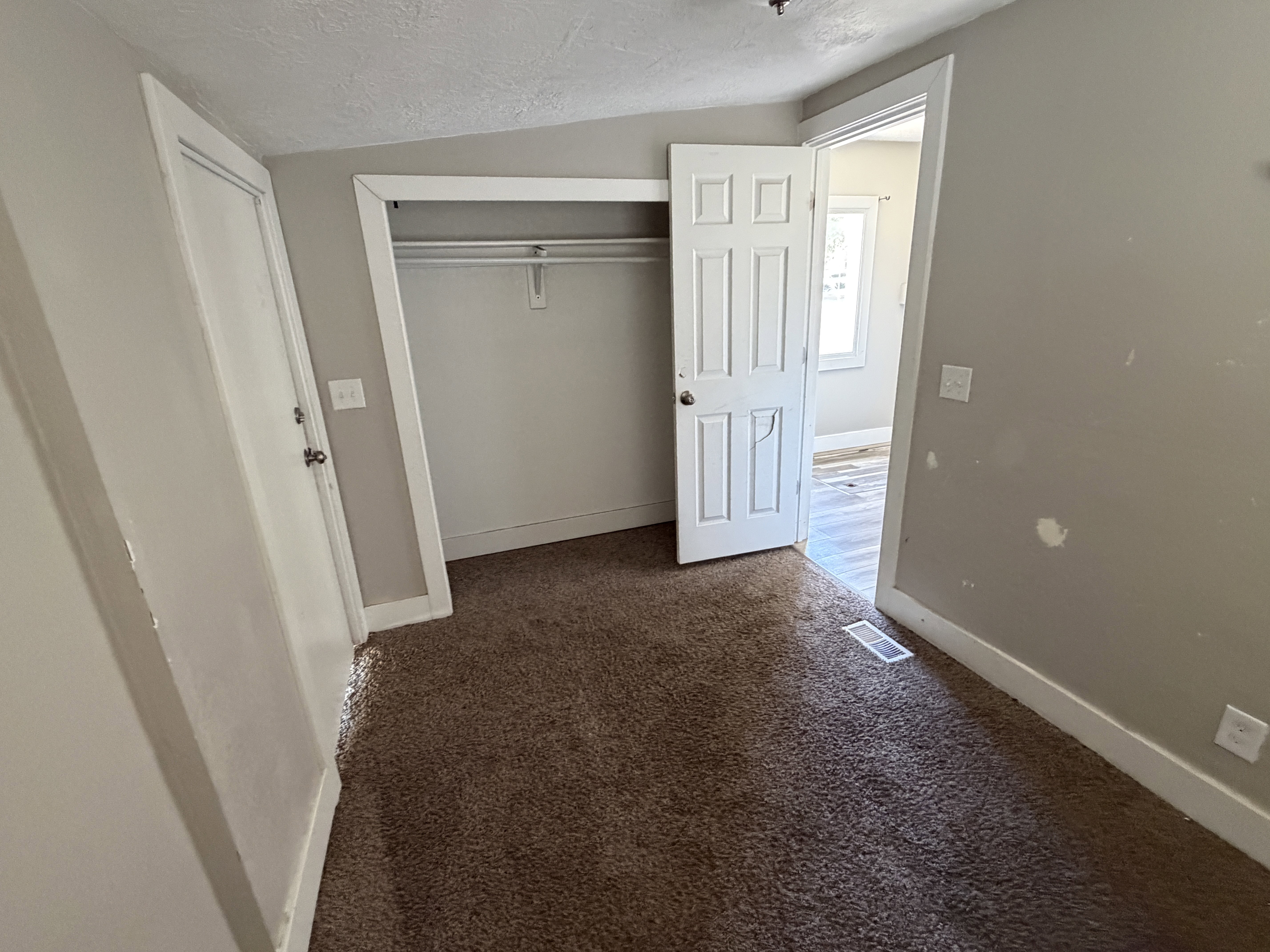 Brown carpeted flooring throughout, featuring a built-in closet with hanging rod, white trim, and a white paneled door