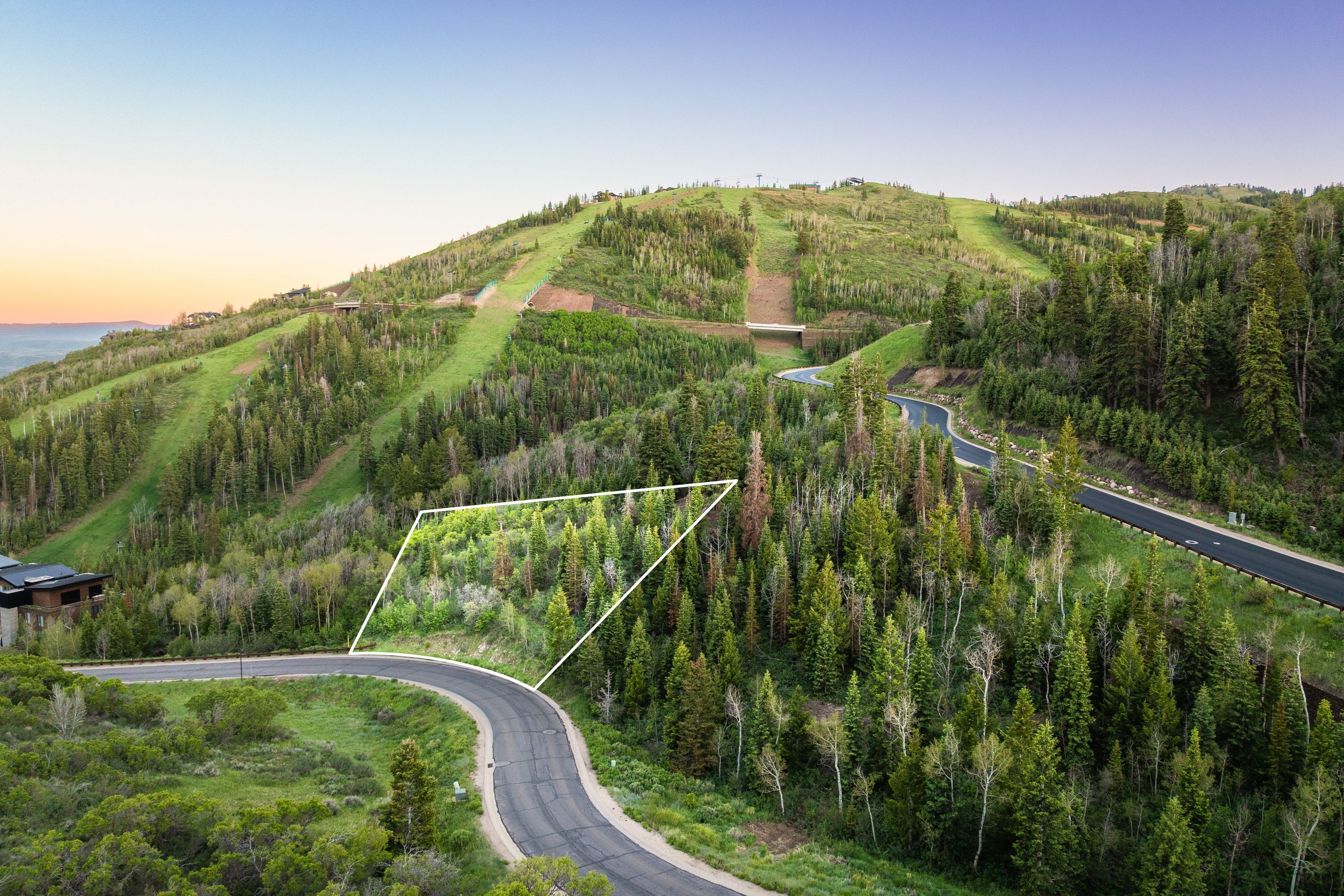 Wooded hillside lot featuring mature evergreen trees and a paved road frontage