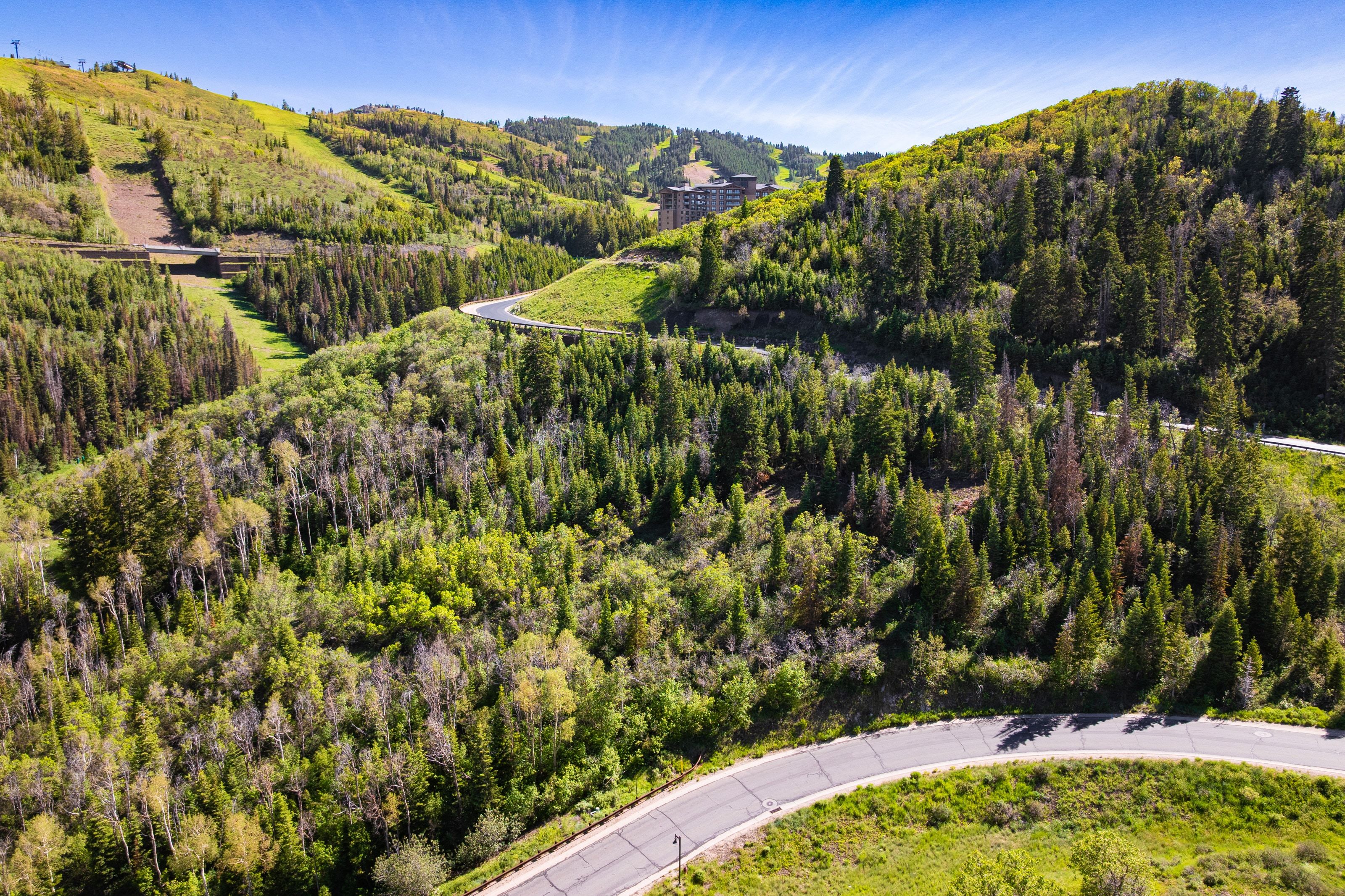 Expansive mountain terrain with dense evergreen and deciduous trees, winding roads, and distant structures