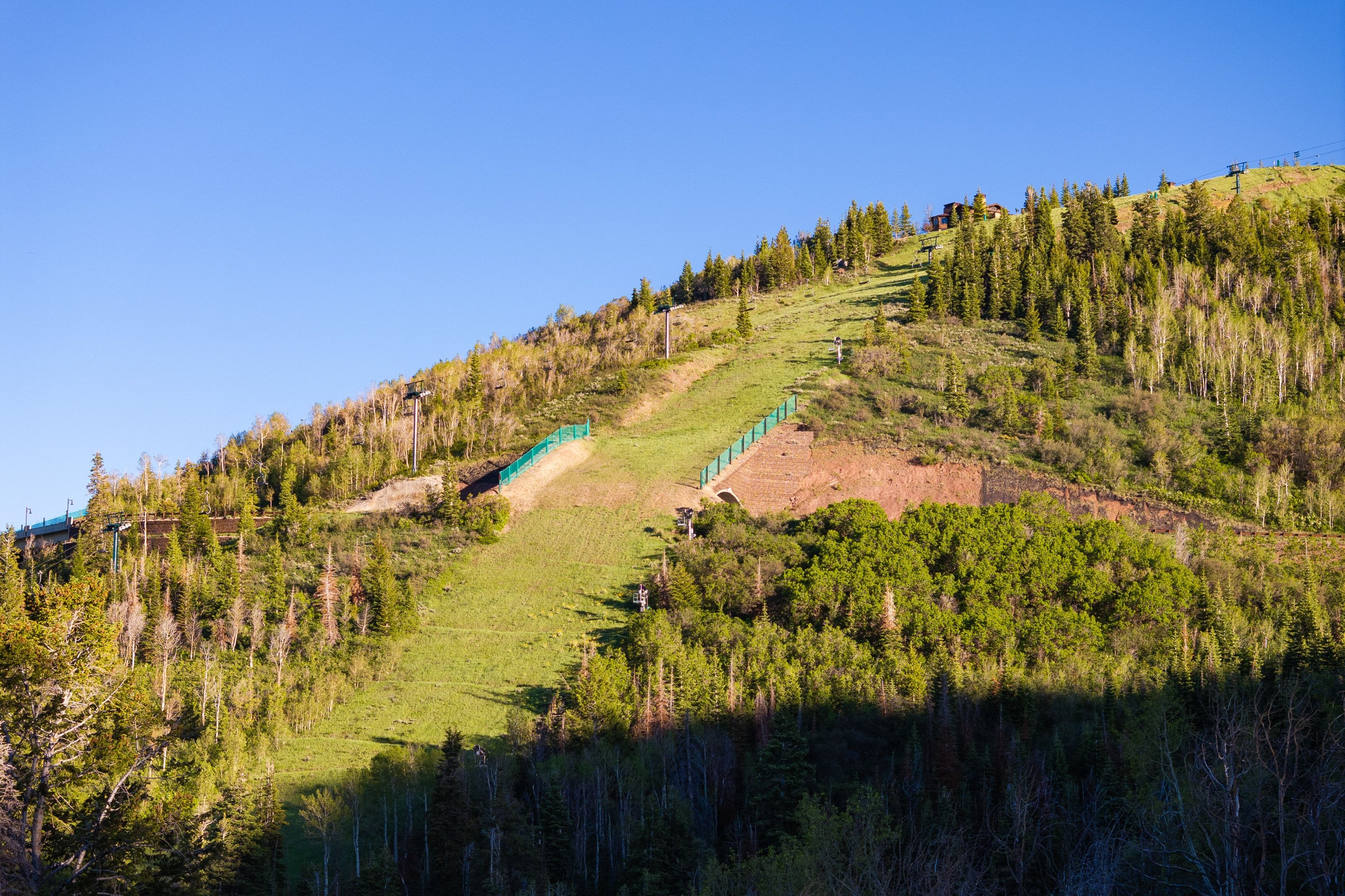 Mountain landscape featuring a ski slope with green safety netting and scattered evergreen trees