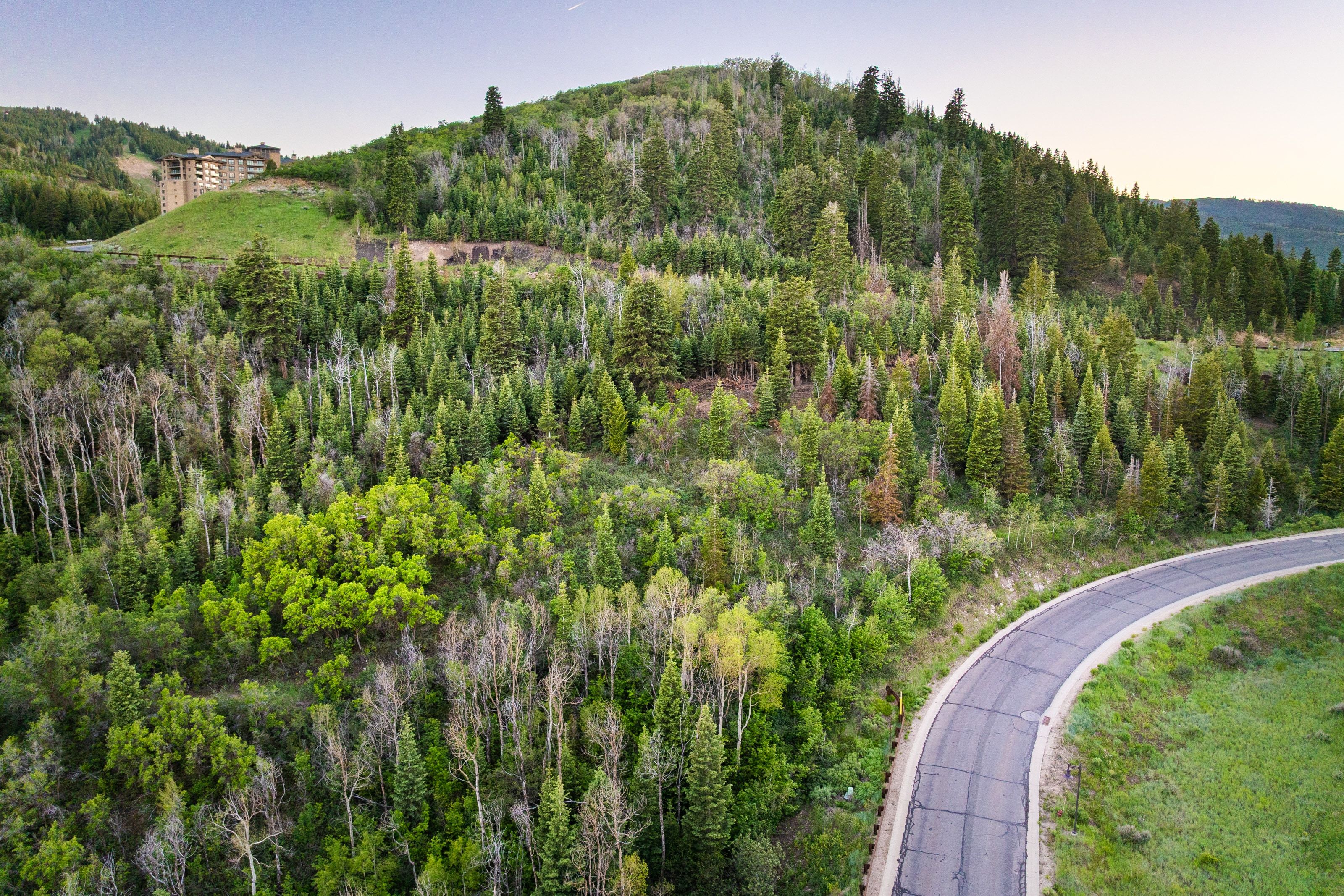 Mountainous landscape with a winding paved road, lush green foliage, and evergreen trees
