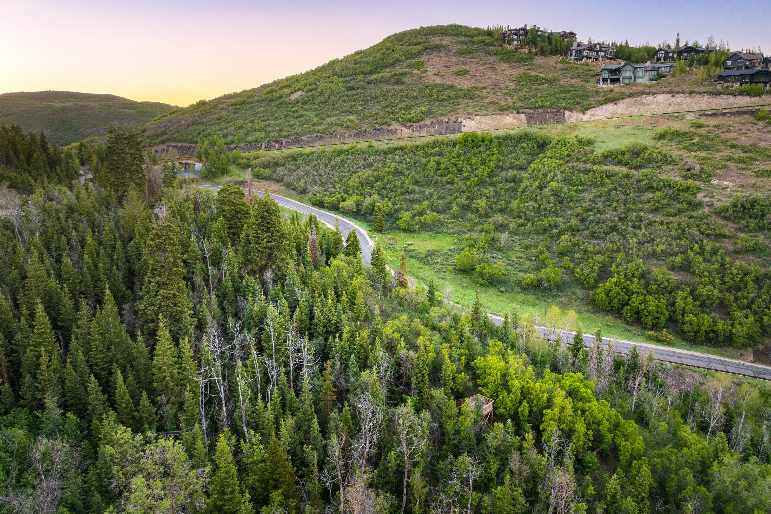 Expansive wooded landscape with a paved road winding through dense evergreen and deciduous trees