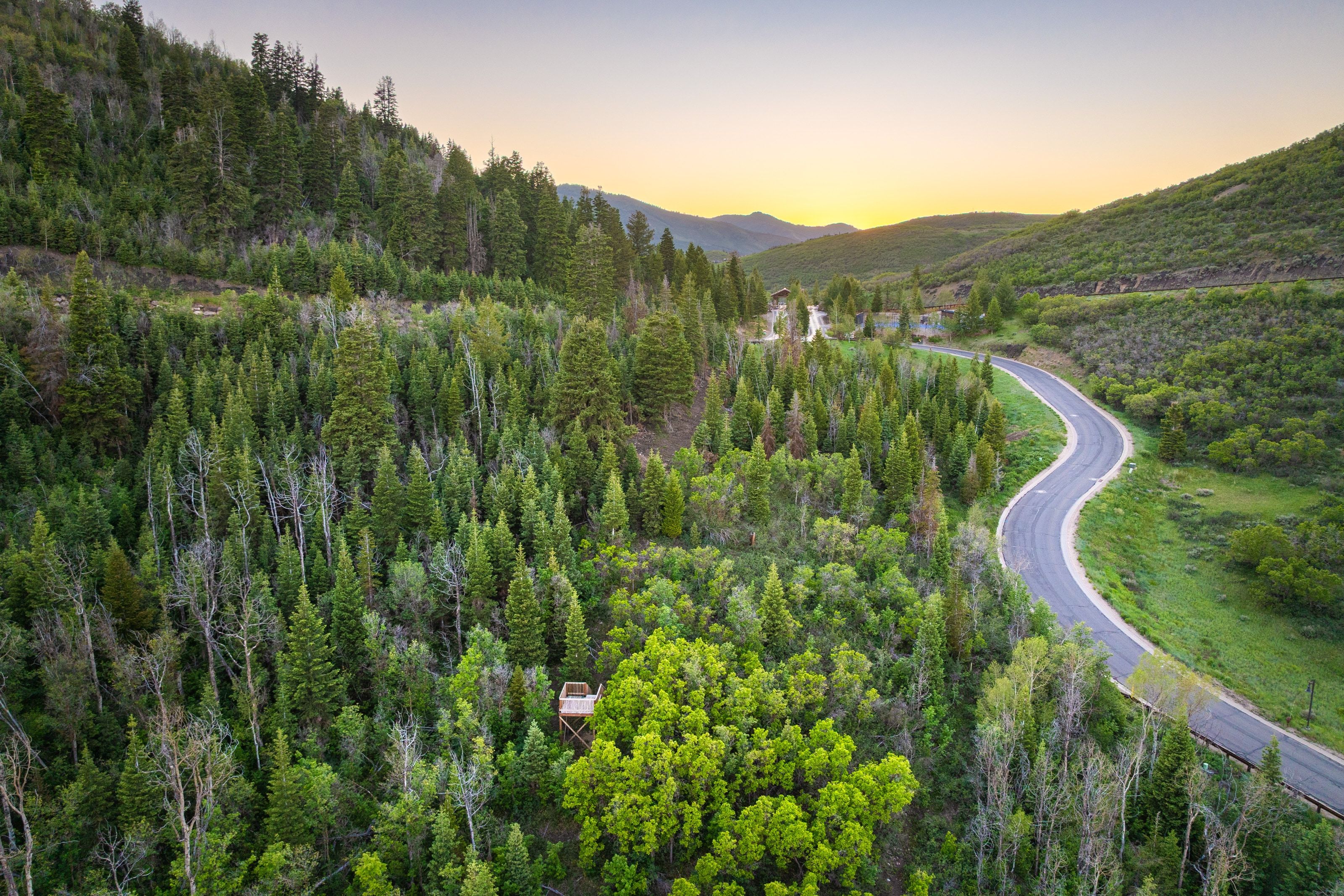 Winding paved road traversing a mountainous landscape with dense evergreen and deciduous trees