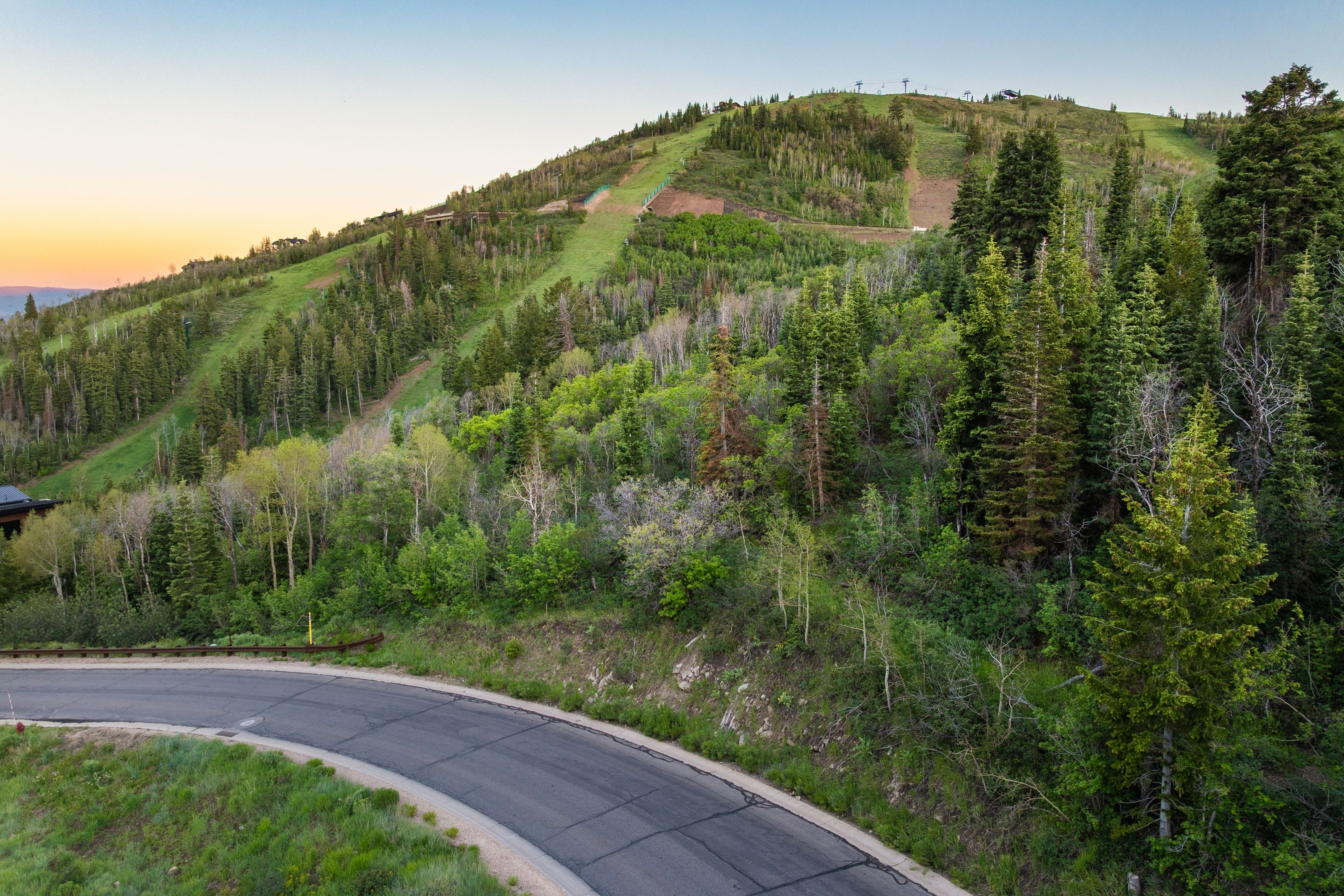 Winding paved road surrounded by varied evergreen and deciduous trees, with a distant mountain slope featuring ski runs and scattered structures
