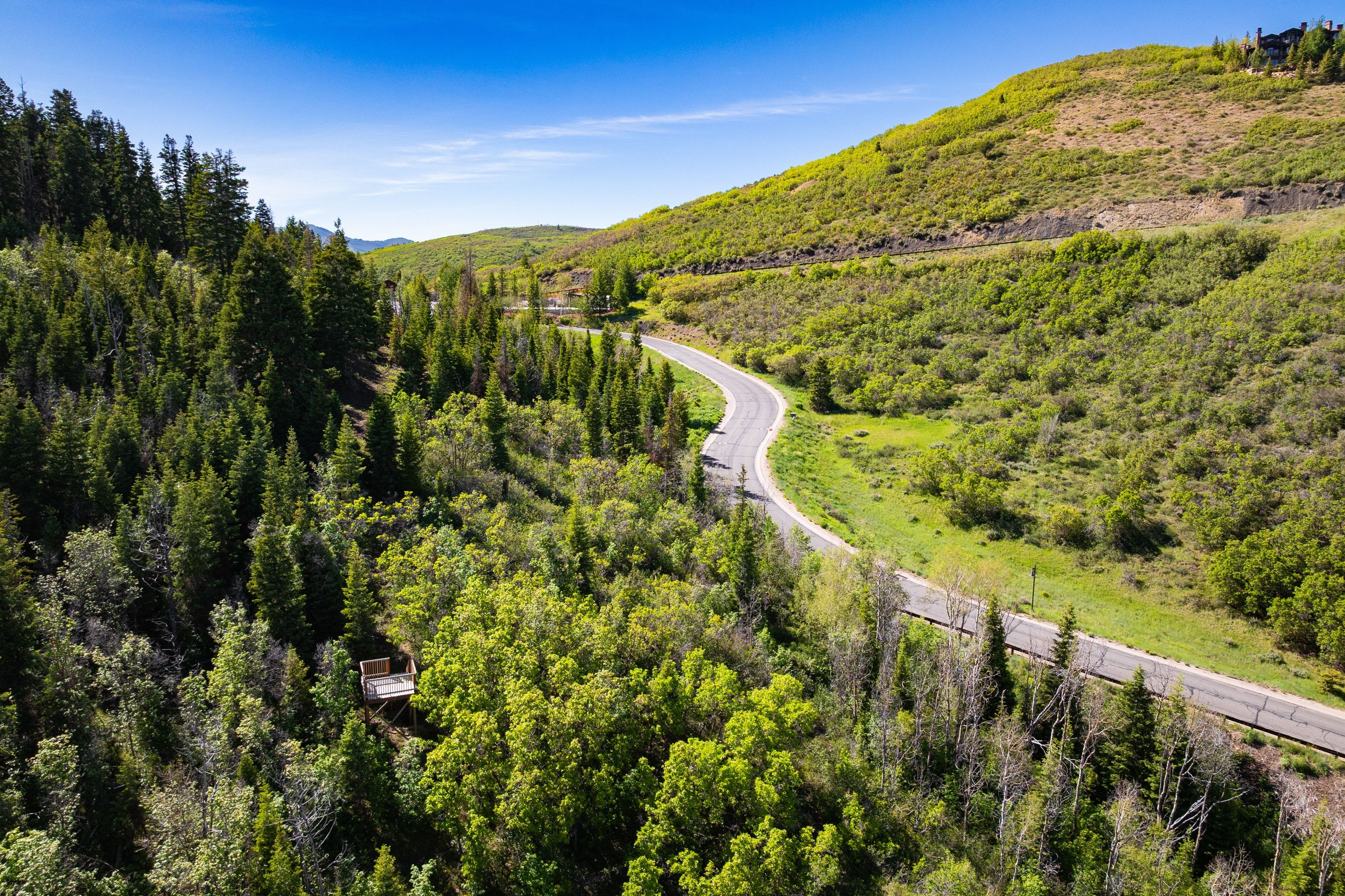 Winding paved road traversing a verdant, mountainous landscape with dense evergreen and deciduous trees