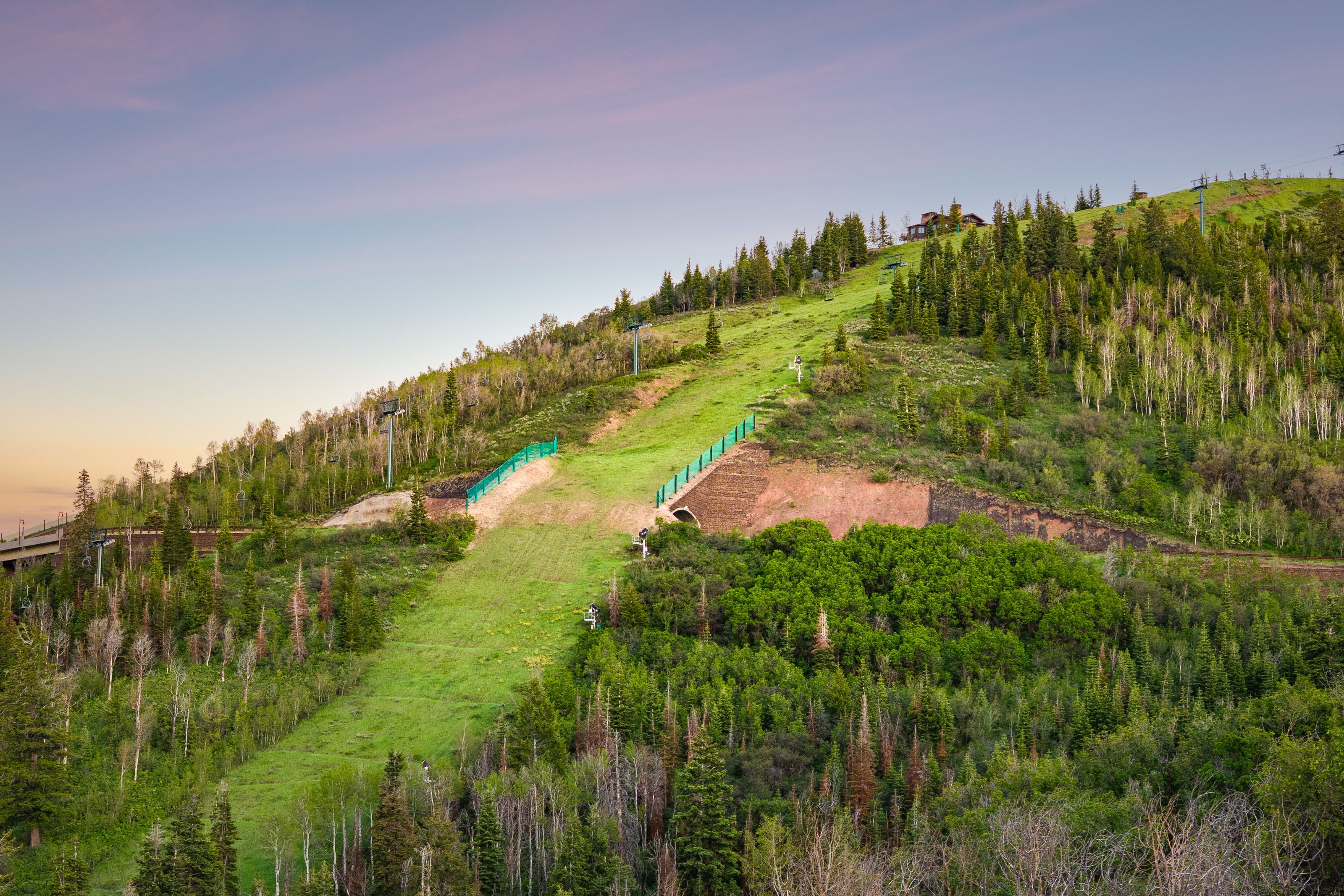 Mountain landscape featuring extensive evergreen and deciduous tree coverage