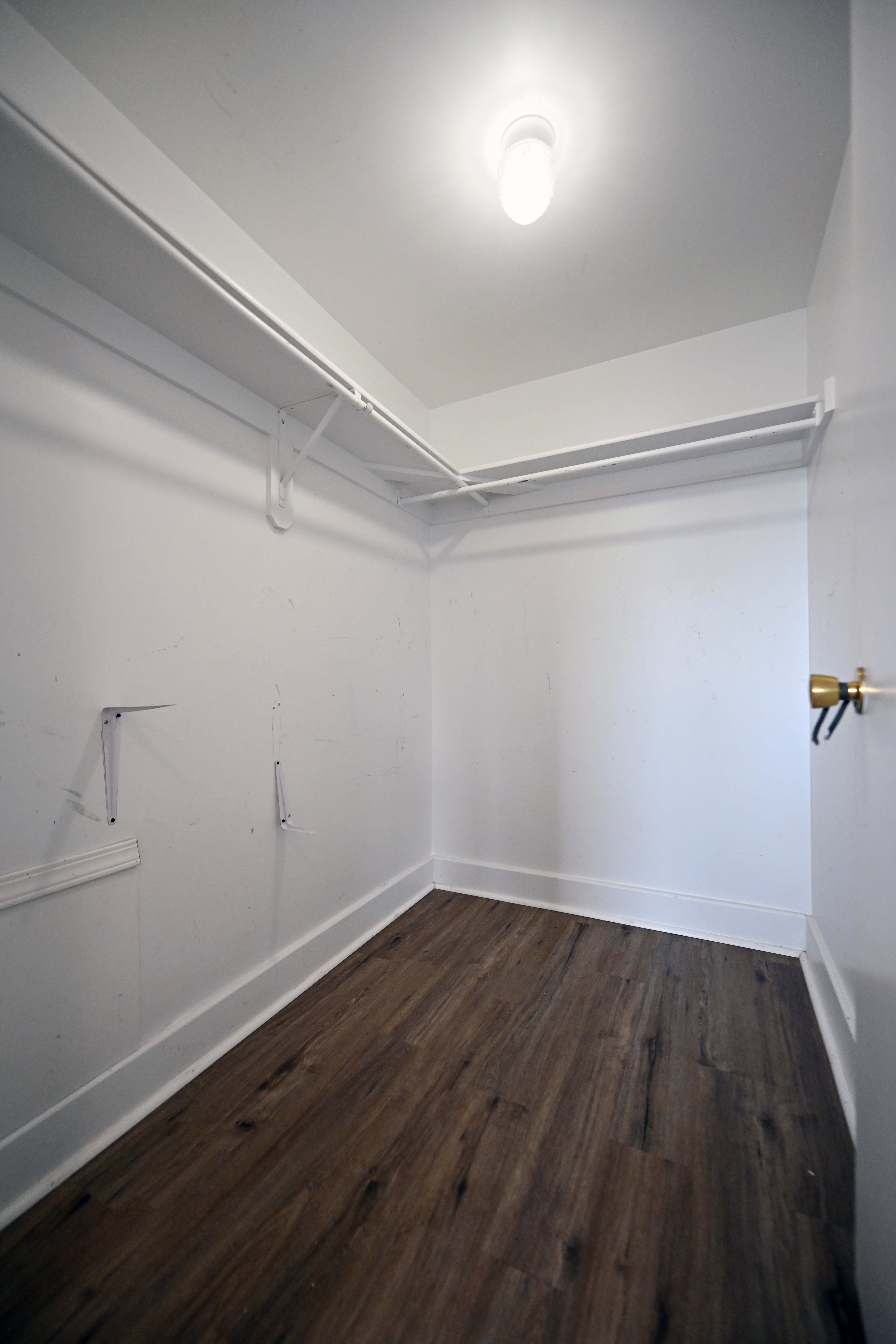 Walk-in closet featuring wood-finish flooring, white walls, and built-in shelving with hanging rods