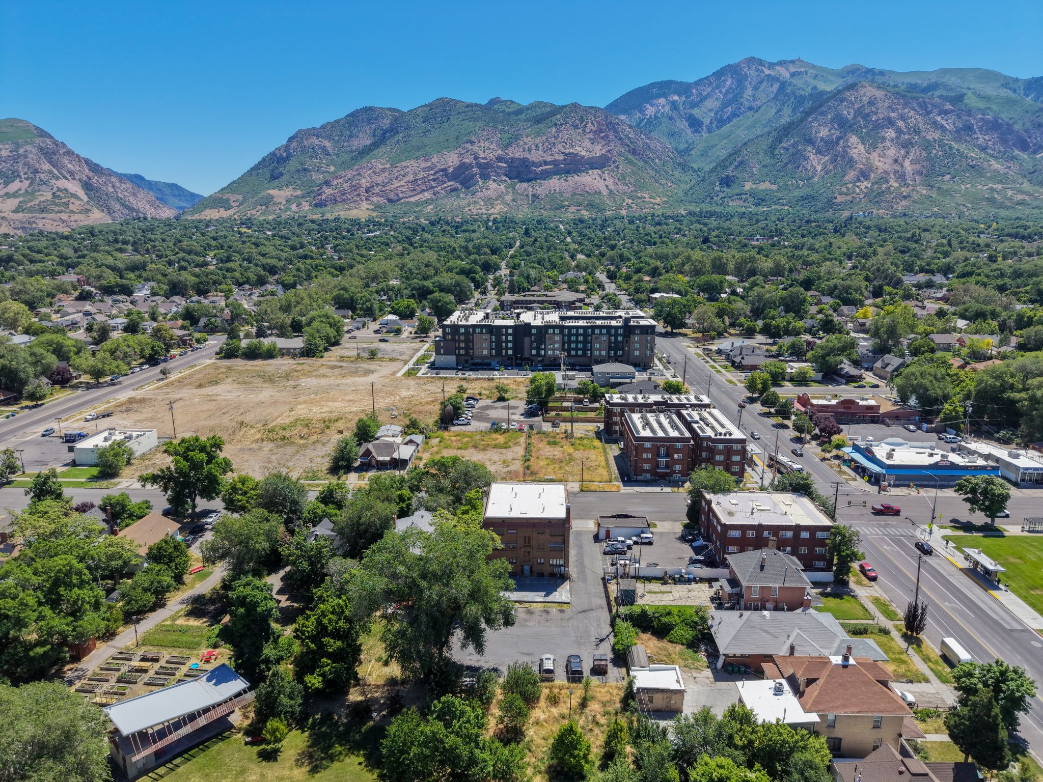 Expansive undeveloped parcel surrounded by mature trees, residential properties, and commercial structures