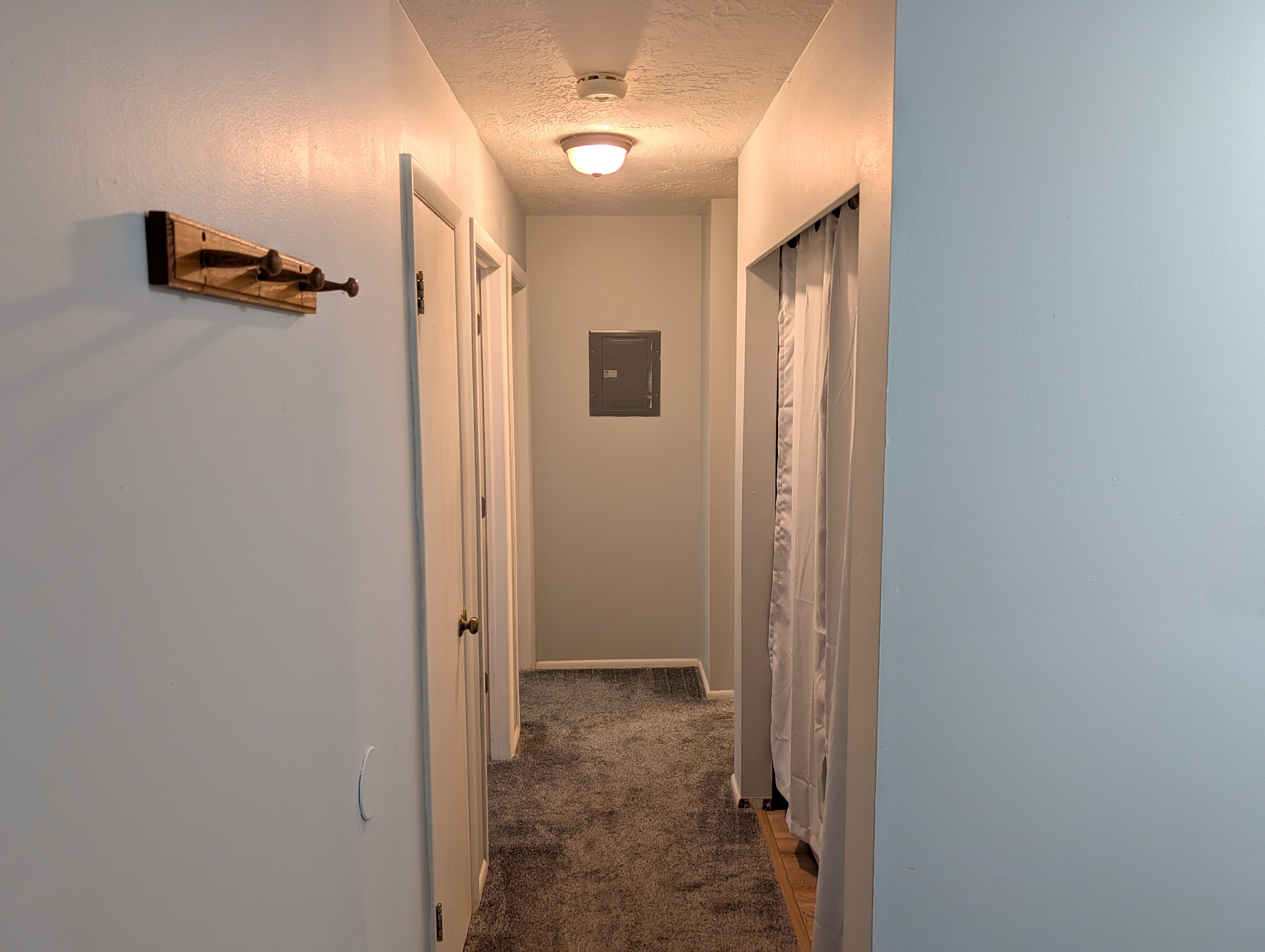 Hallway with light gray walls, dark gray carpet, and two flush-mount ceiling lights