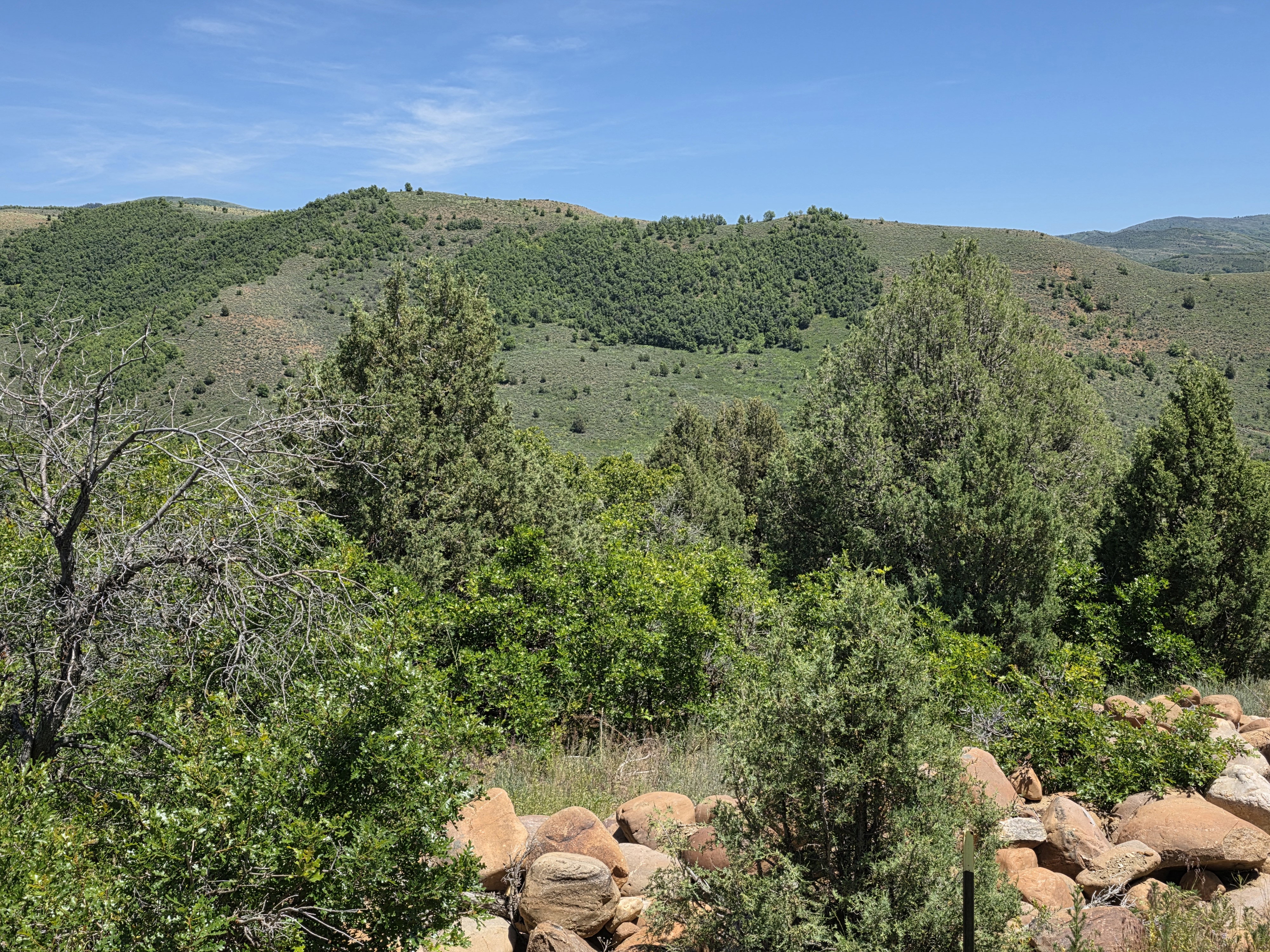 Mountainous landscape featuring extensive green foliage and natural rock formations