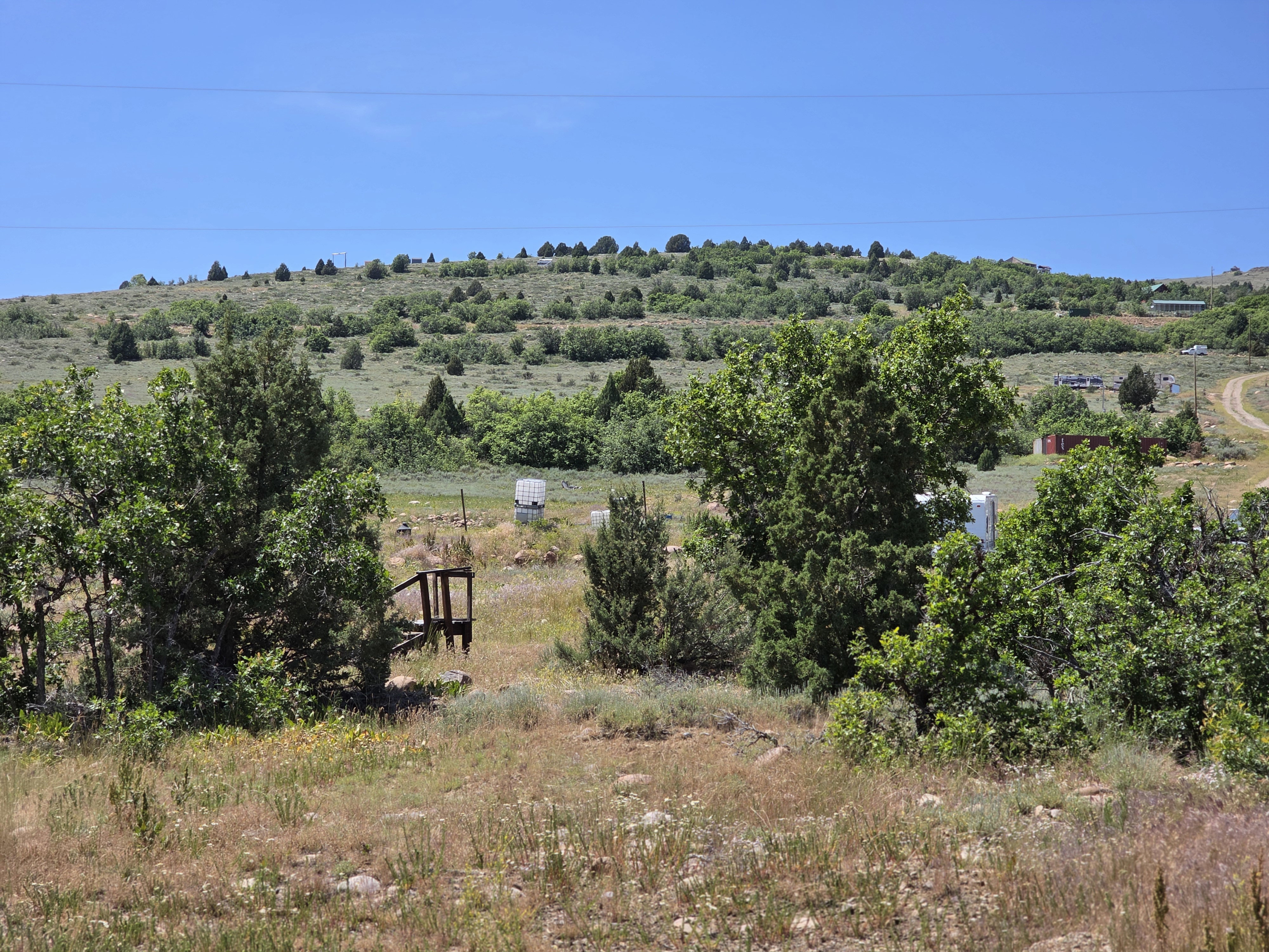 Rolling hillside terrain with diverse natural vegetation