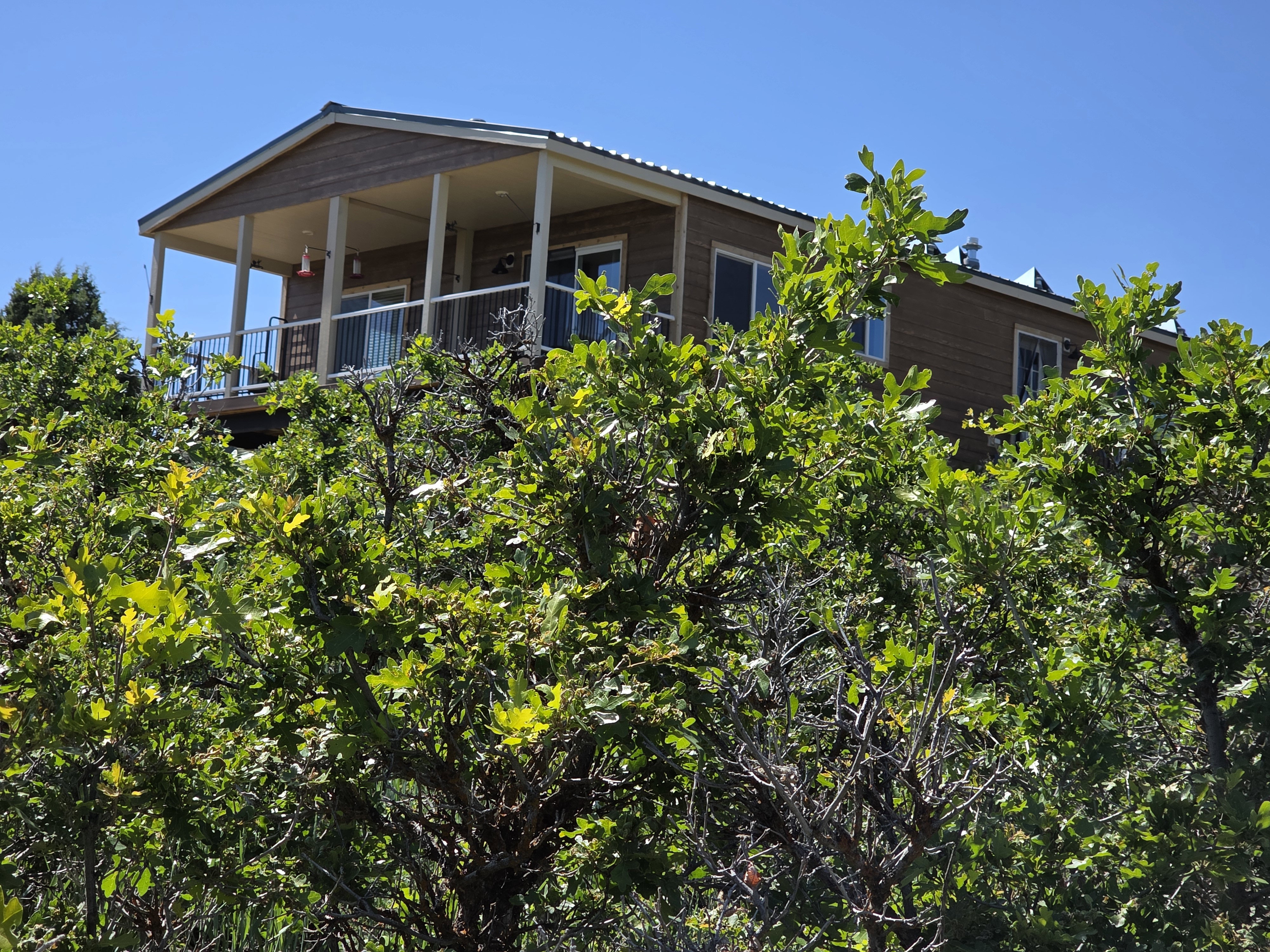 Elevated property featuring a covered deck with white railings, brown siding, and multiple windows