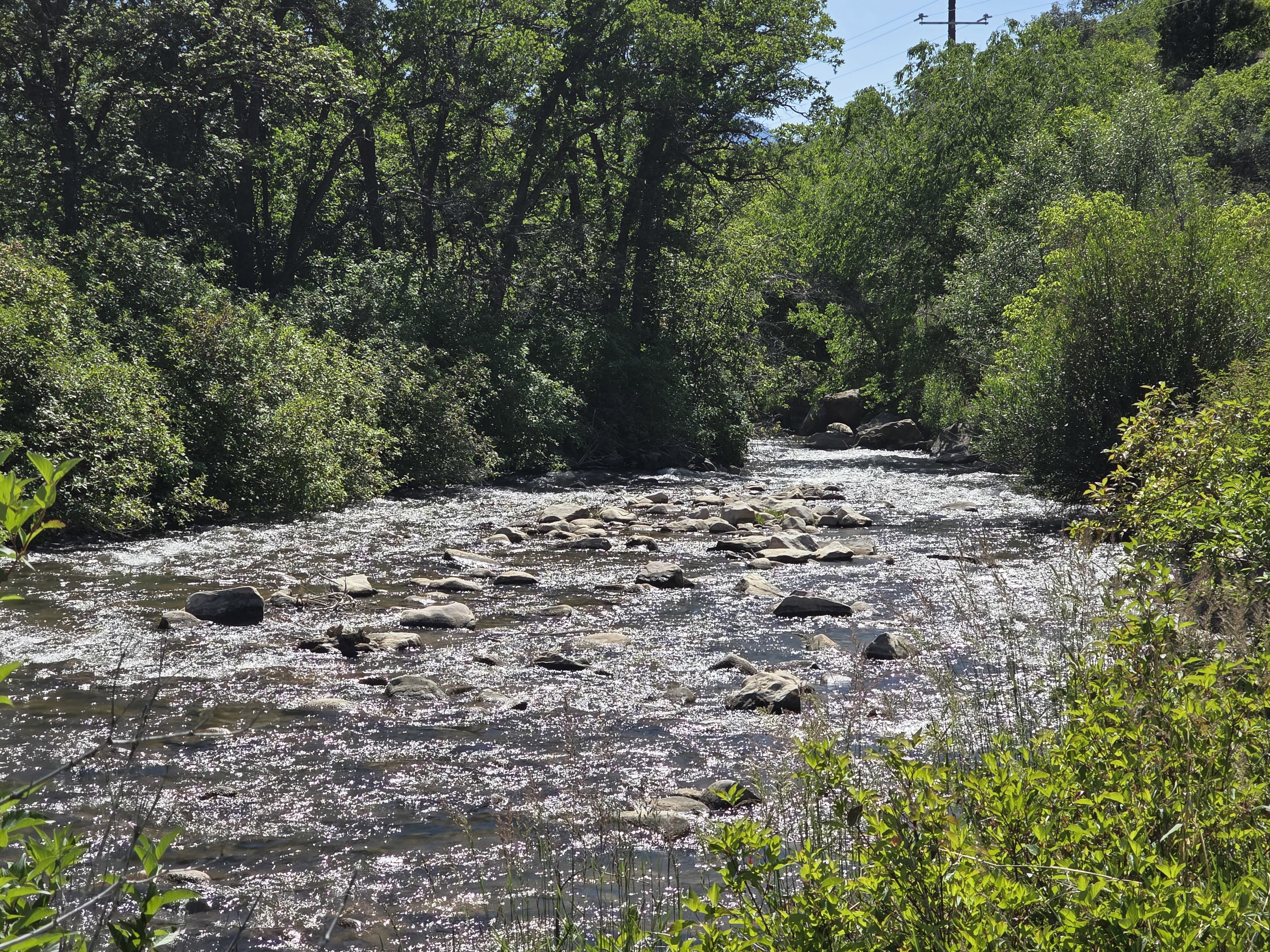 S. Fork of the Ogden River, fly fishing and tubing.