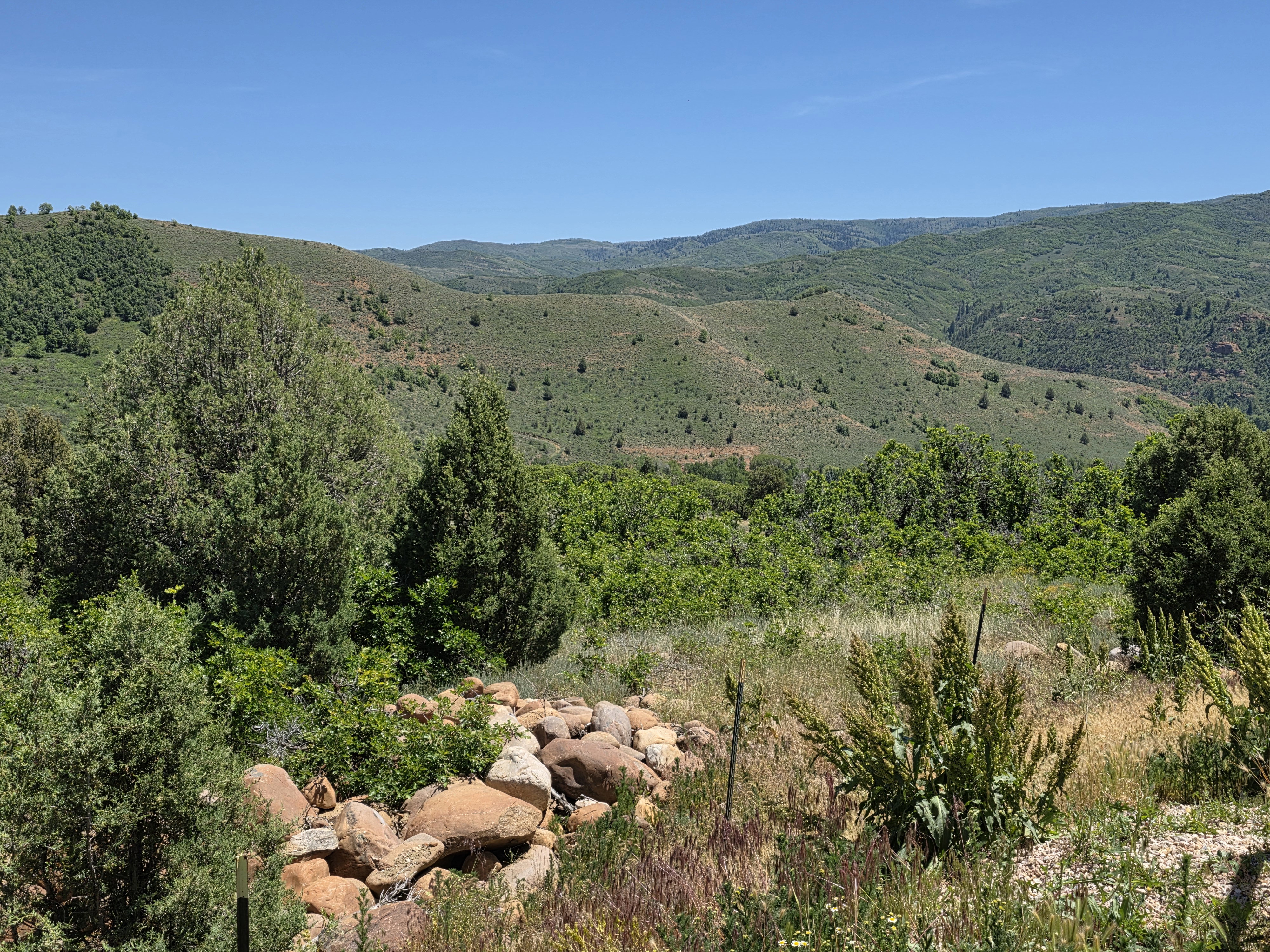 Expansive natural landscape featuring rolling hills and abundant greenery under a clear sky