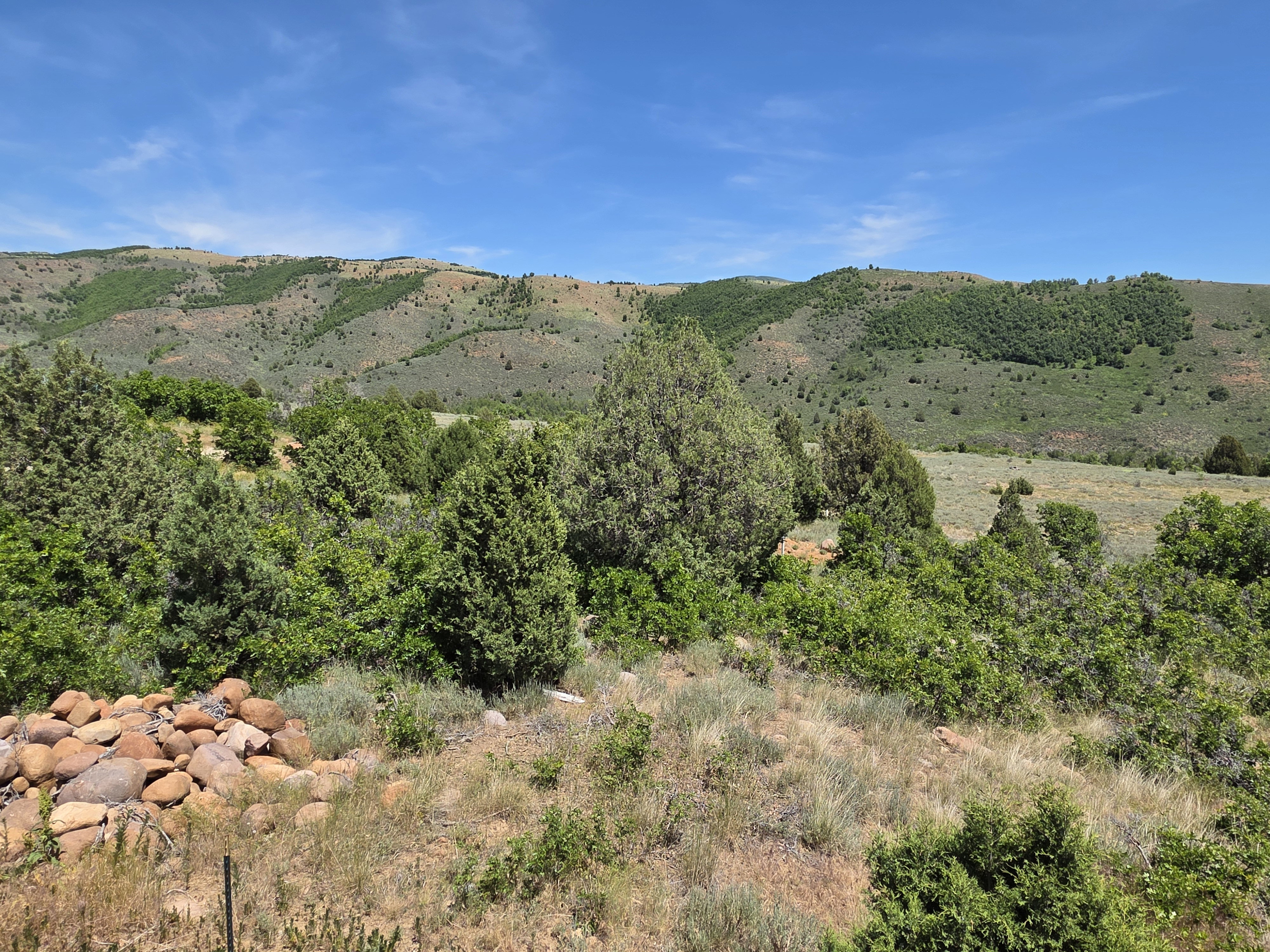 Expansive mountain scenery with diverse natural vegetation