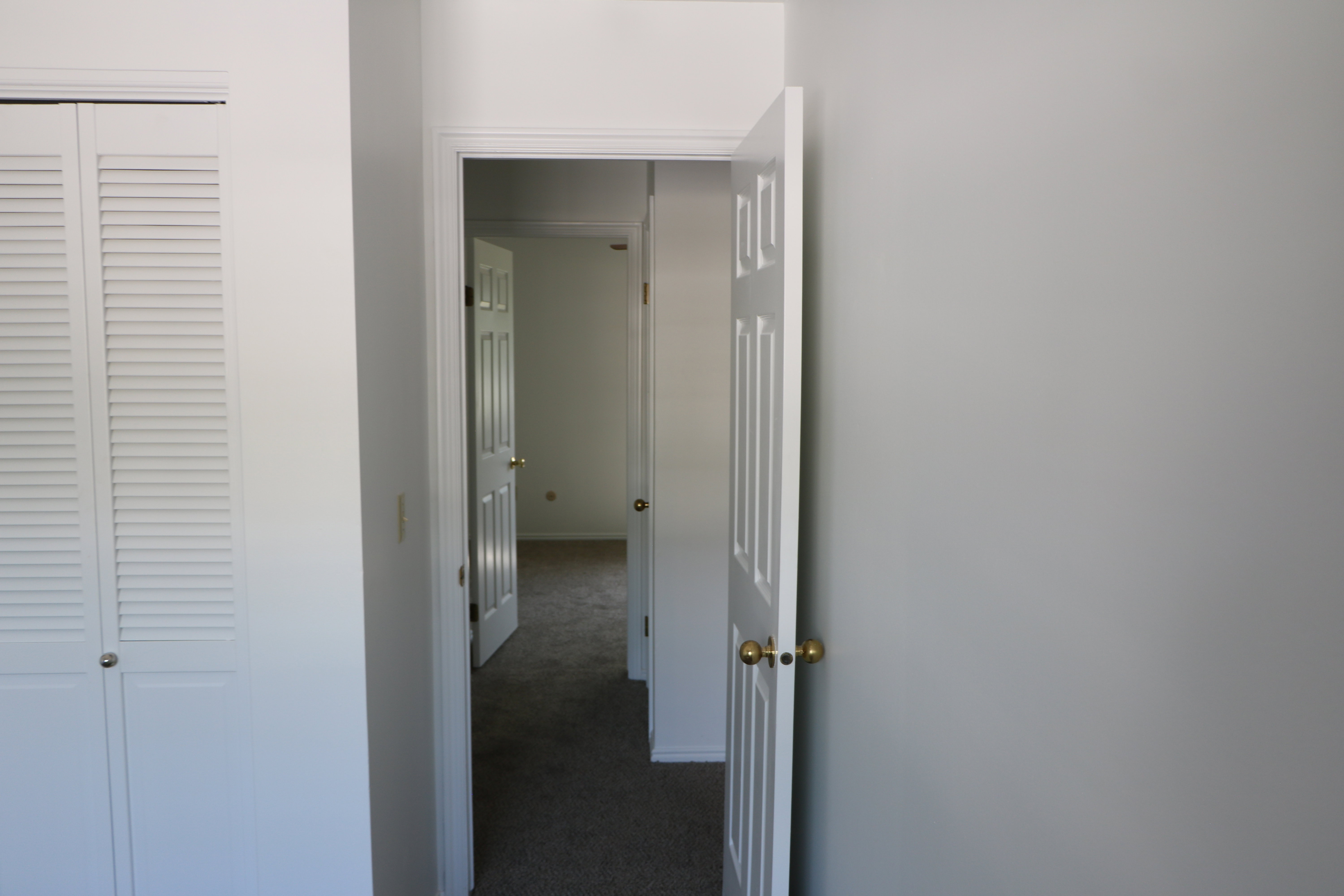 Hallway featuring a paneled interior door with brass hardware, neutral wall paint, and carpet flooring