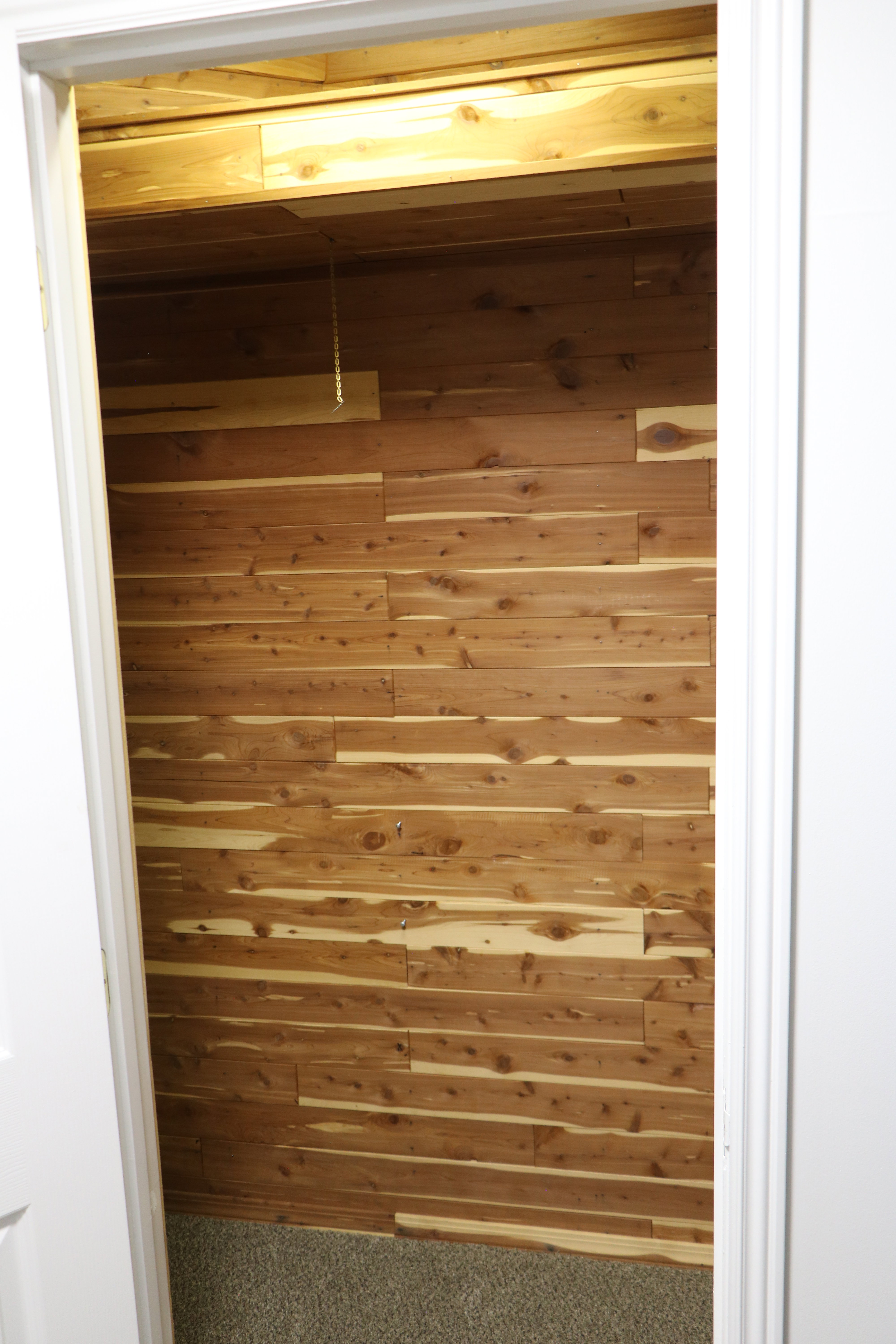 Cedar-lined closet featuring horizontal wood planks, a pull-chain light fixture, and carpeted flooring