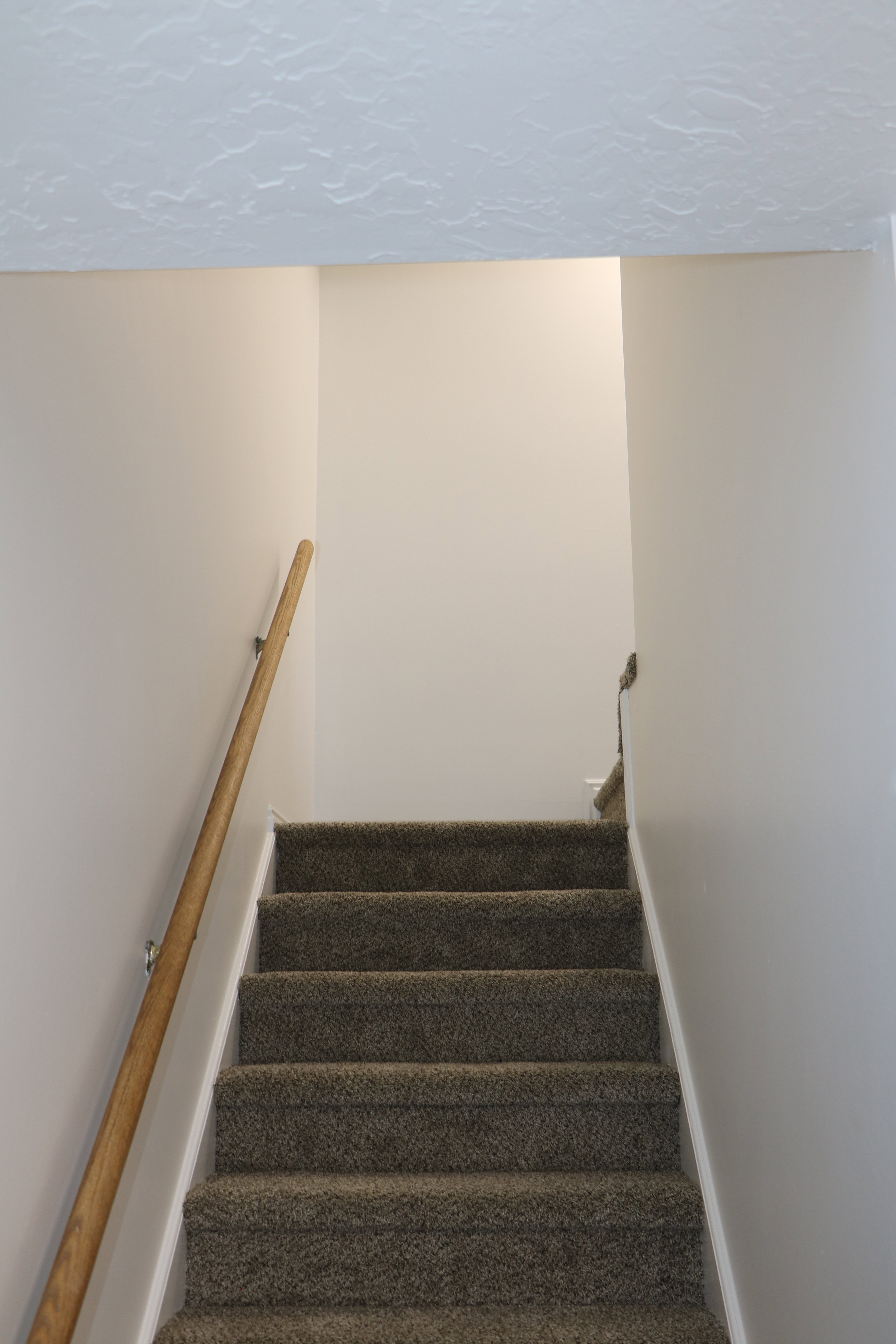 Carpeted staircase with a wood-finish handrail, neutral wall paint, and a textured ceiling finish