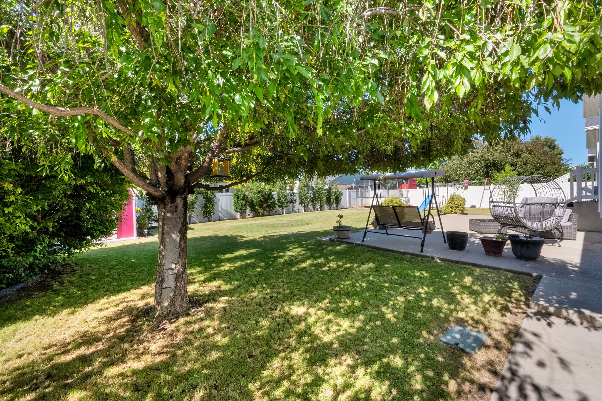Spacious backyard featuring a large tree, expansive lawn, and concrete patio