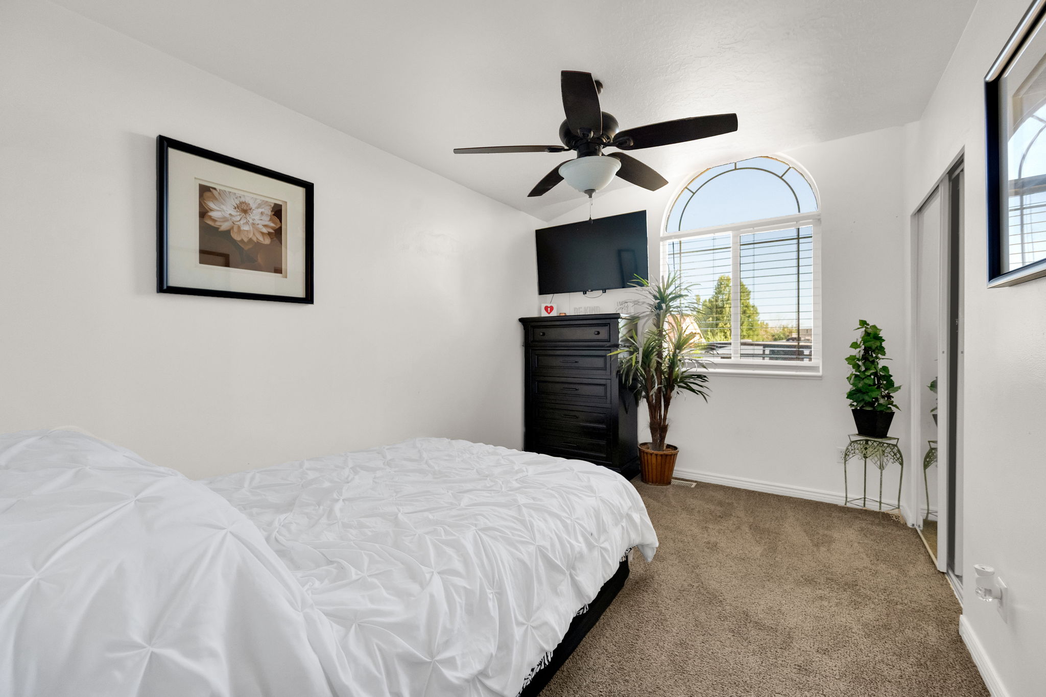Arched window with horizontal blinds, ceiling fan with light fixture, mirrored closet doors, and neutral carpet flooring