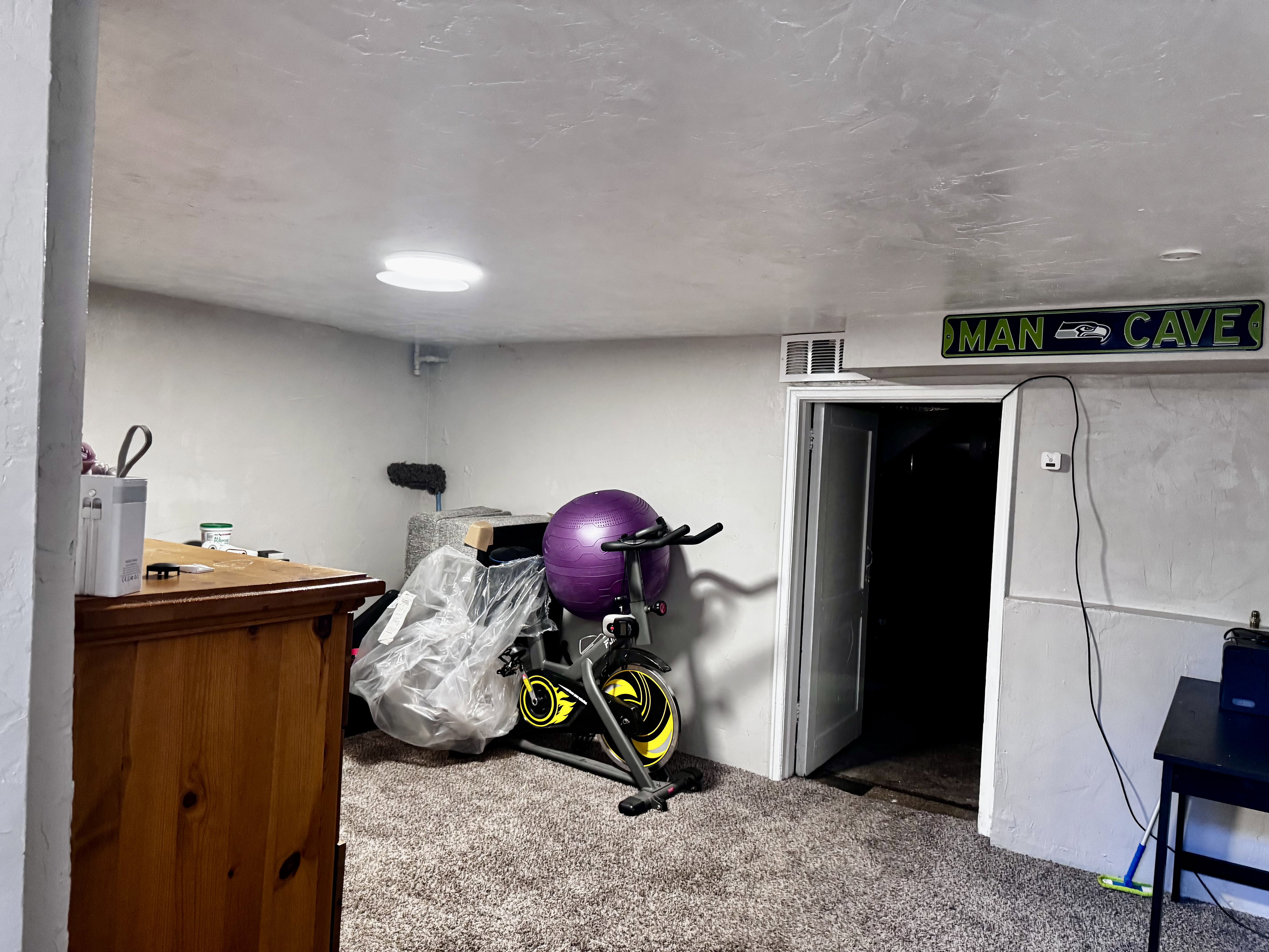 Carpeted room with a flush-mount ceiling